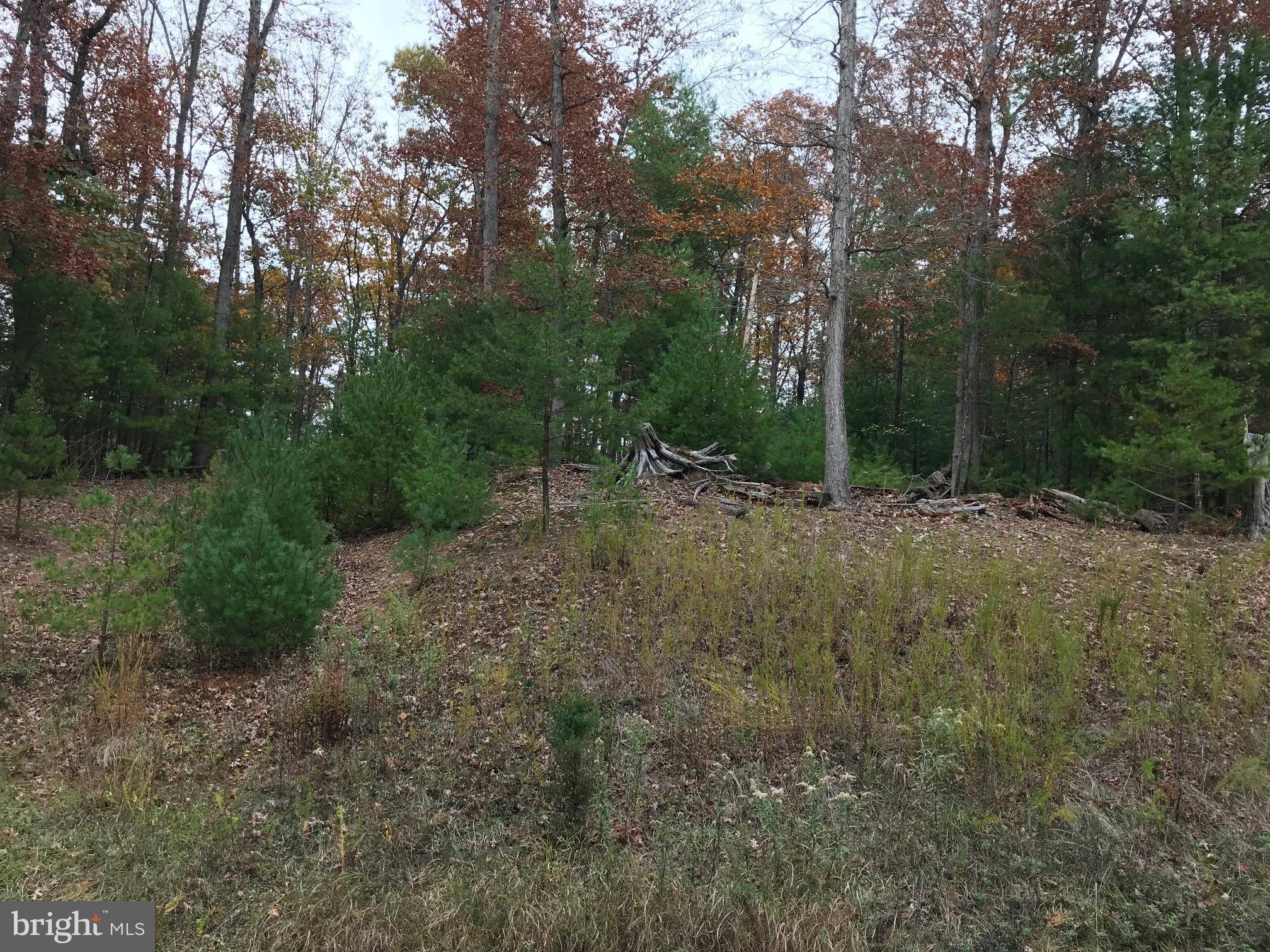 Winchester, VA 22603,LOT 7 CHERAN LANE