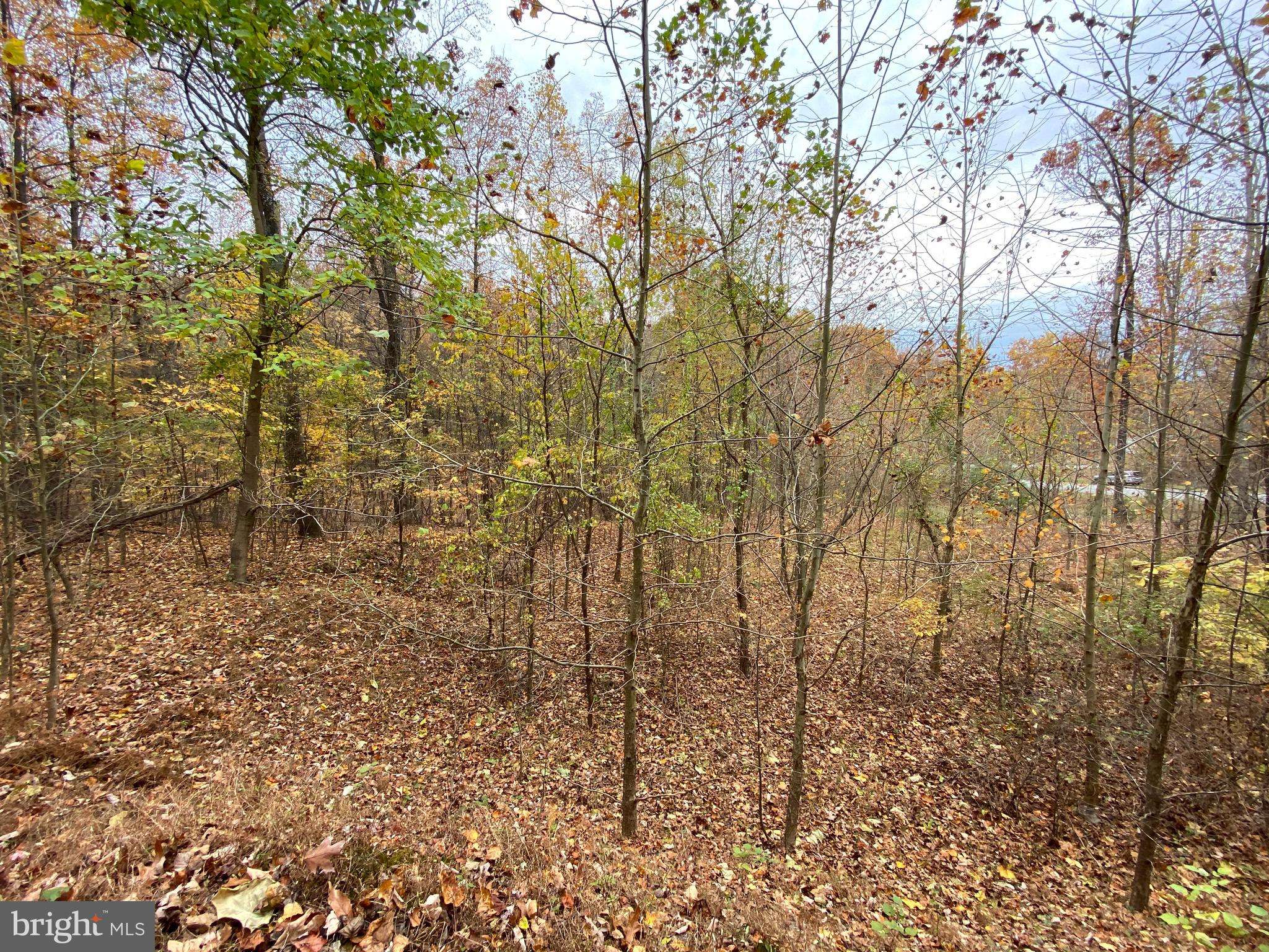 Harpers Ferry, WV 25425,MISSION RIDGE LOT 30