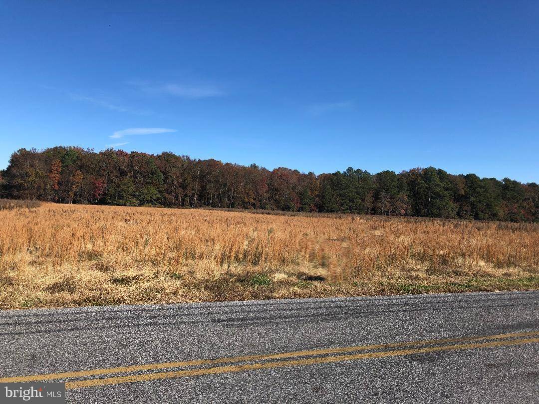 Bishopville, MD 21813,LOT 4 COLLINS RD