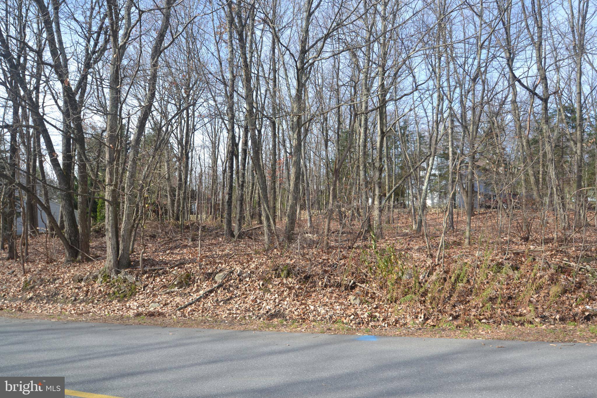 Mount Pocono, PA 18344,LOT 57 DEERFIELD DR