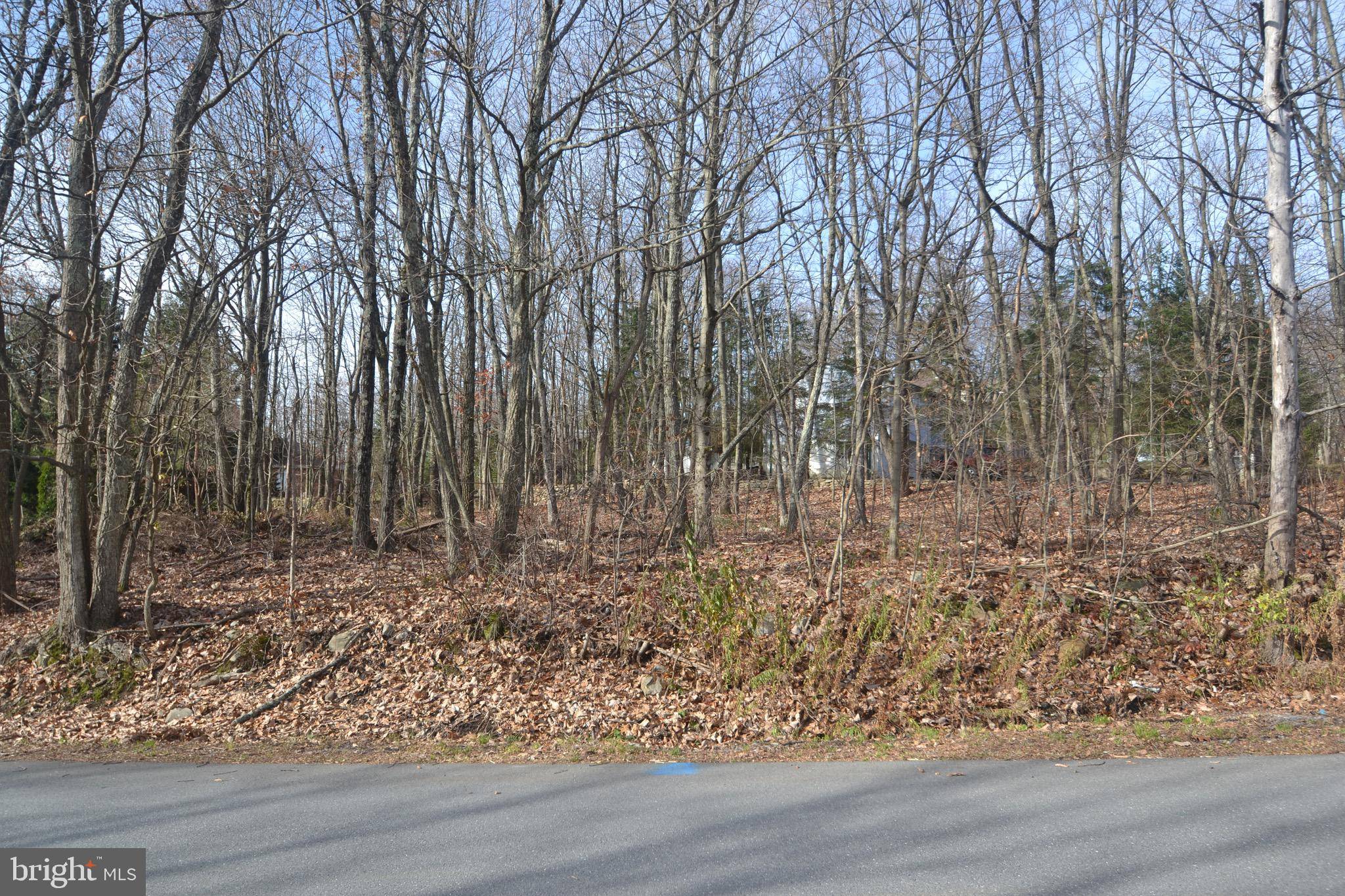 Mount Pocono, PA 18344,LOT 57 DEERFIELD DR