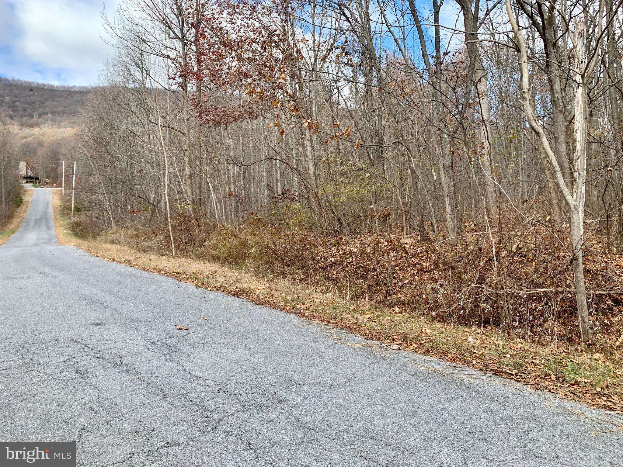 Saxton, PA 16678,LOT 30 WEAVER WOODS ROAD