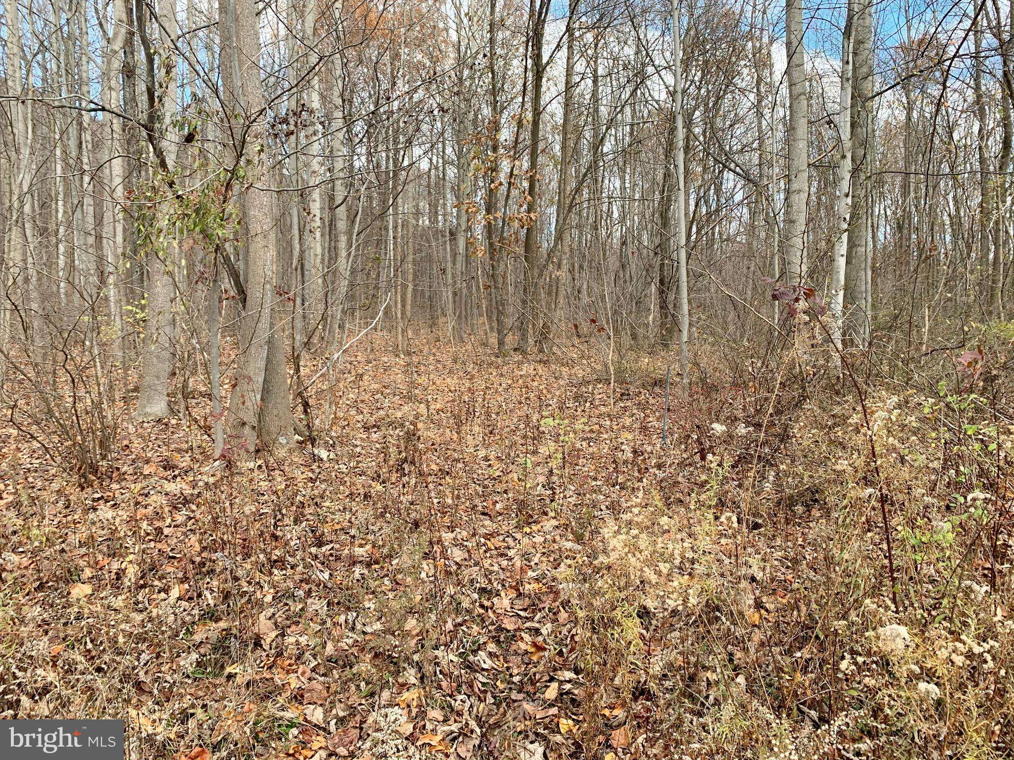 Saxton, PA 16678,LOT 30 WEAVER WOODS ROAD