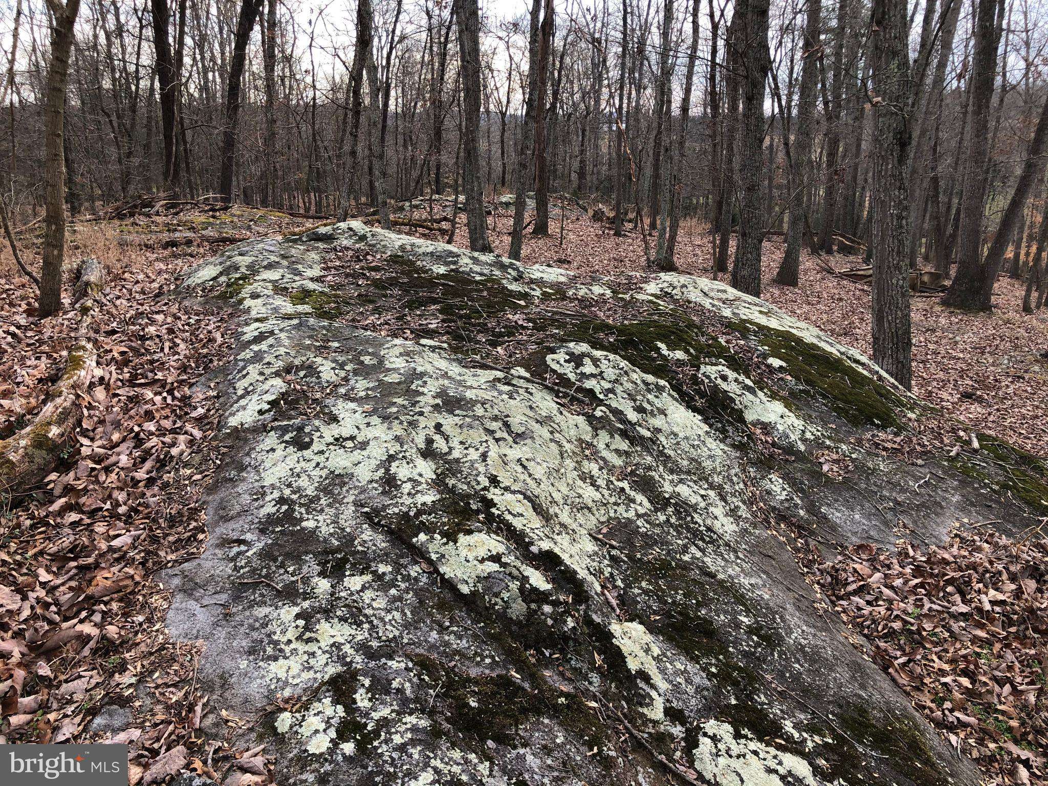 Amissville, VA 20106,DODSON RD