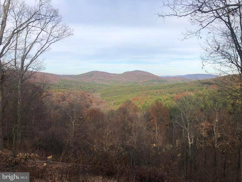 Springfield, WV 26763,123 BLUFFS ON THE POTOMAC