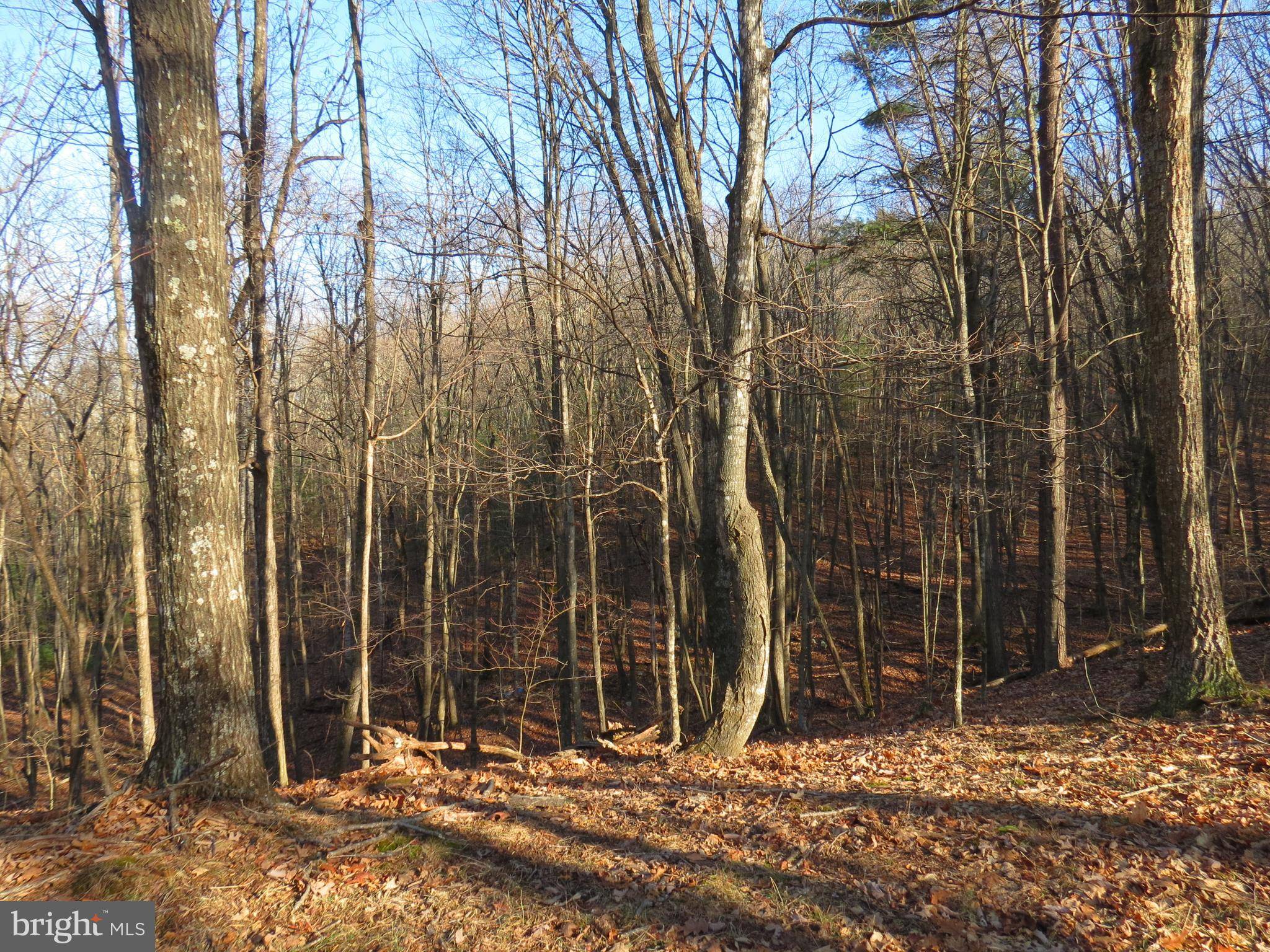 Mathias, WV 26812,10 CEDARWOOD DRIVE RD