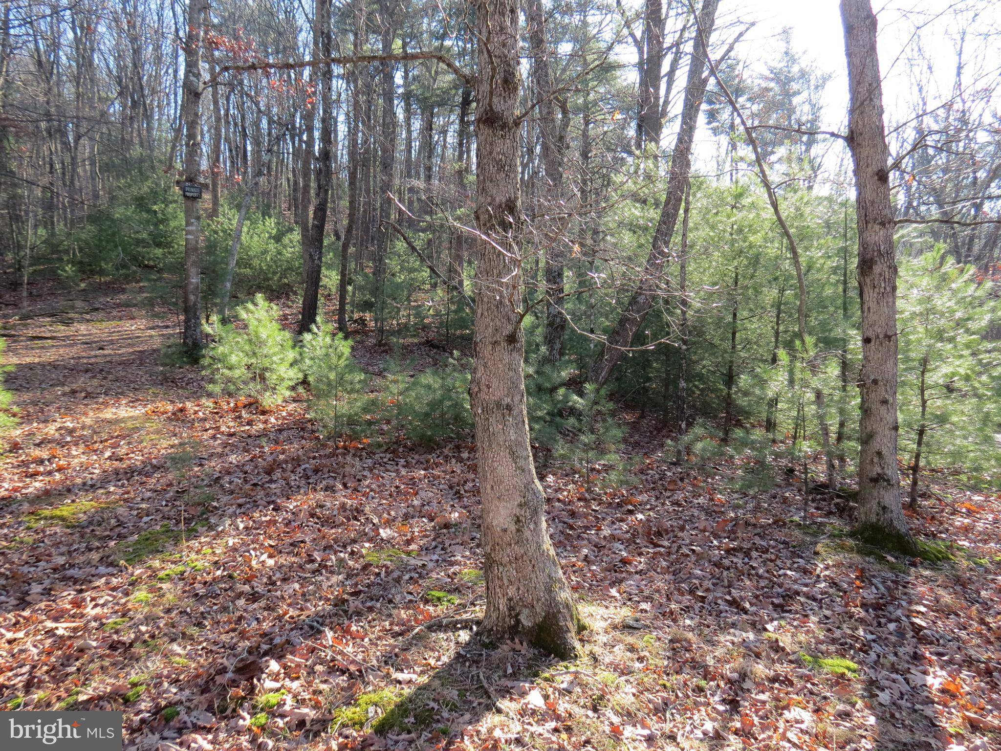 Mathias, WV 26812,10 CEDARWOOD DRIVE RD