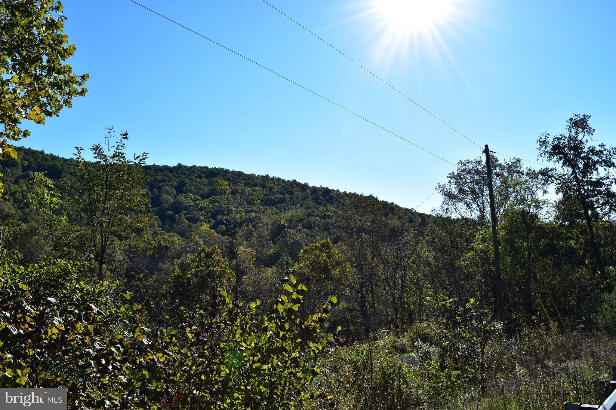 Bentonville, VA 22610,LOT 4 BUCK MOUNTAIN RD