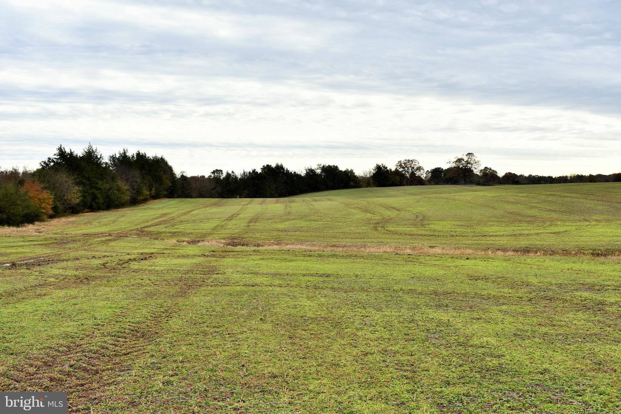 Remington, VA 22734,11344 CEMETERY ROAD