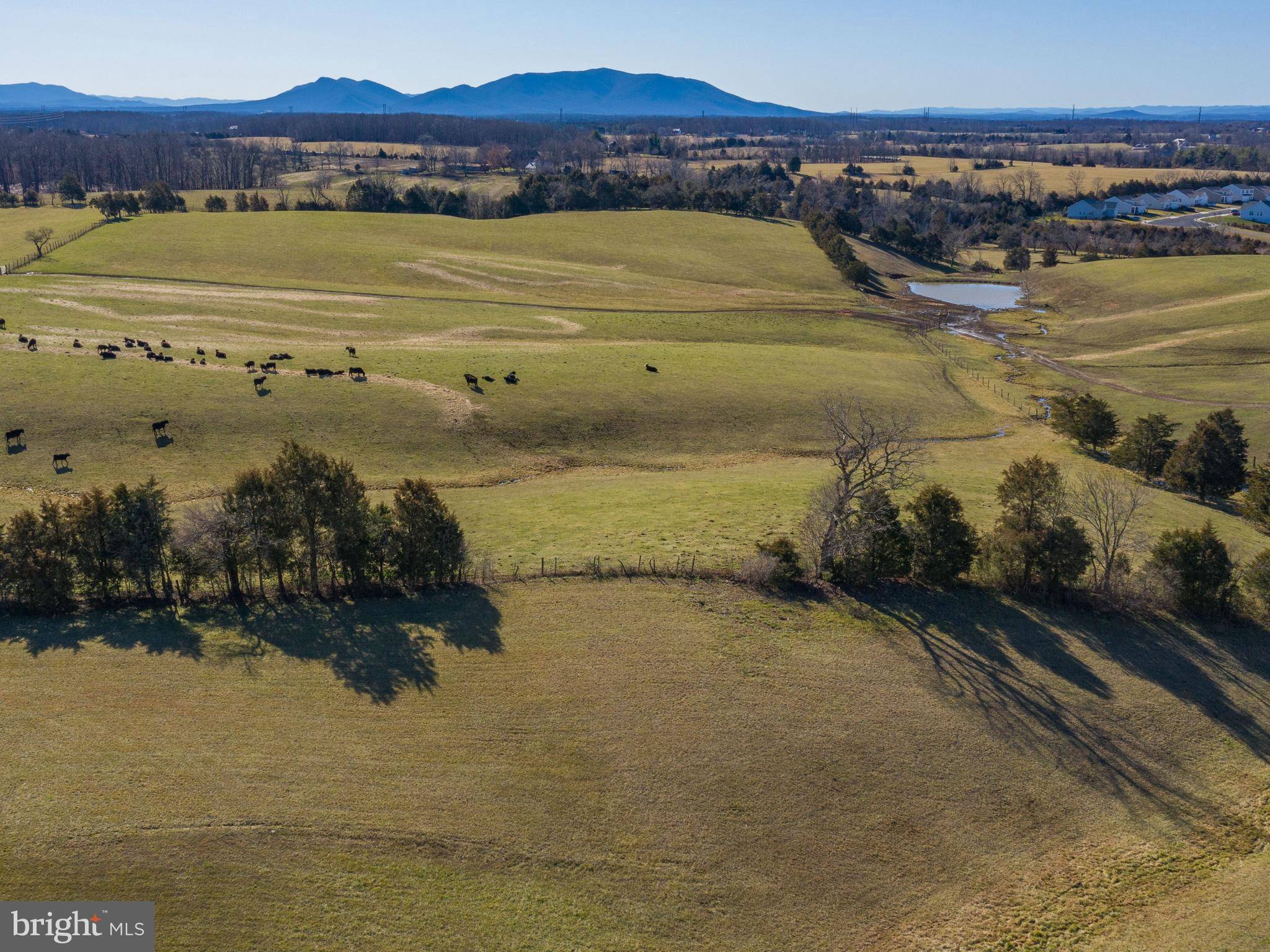 Stephens City, VA 22655,115 FALLING MOUNTAIN