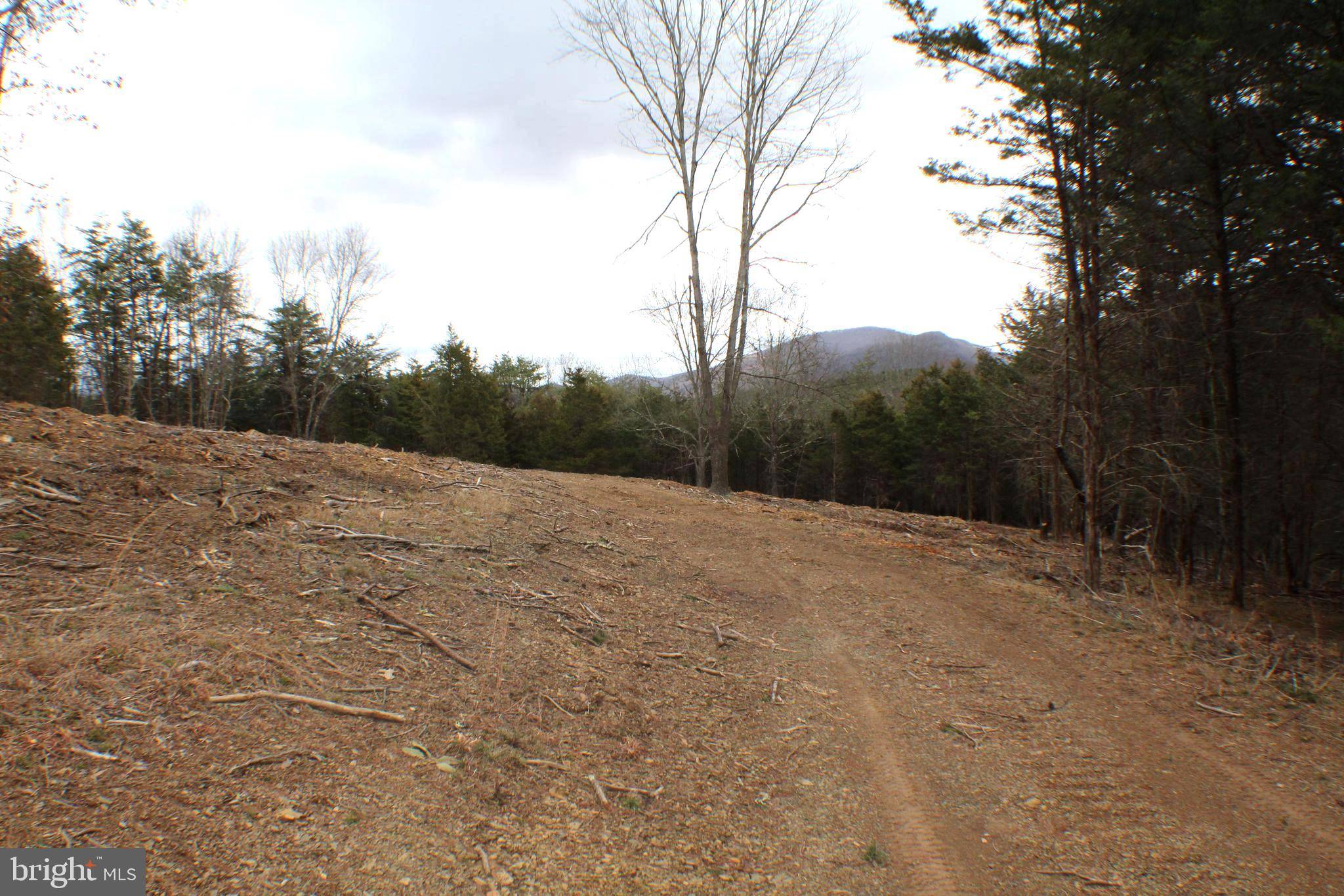 Petersburg, WV 26847,-8.16 AC PAYSON PL