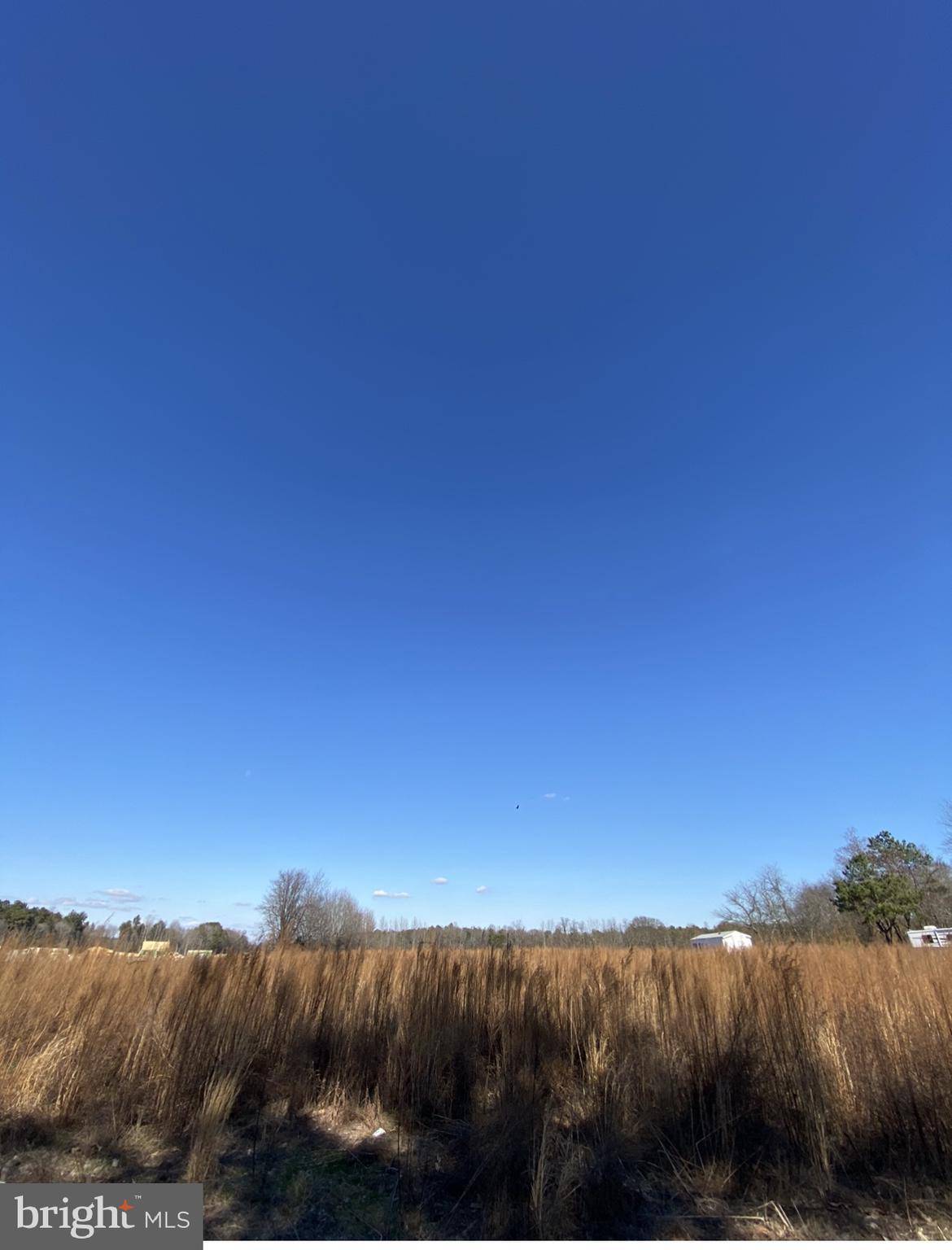 Ellendale, DE 19941,LOT #1 MILTON ELLENDALE HWY