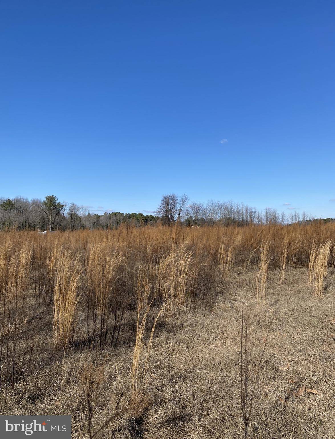 Ellendale, DE 19941,LOT #1 MILTON ELLENDALE HWY