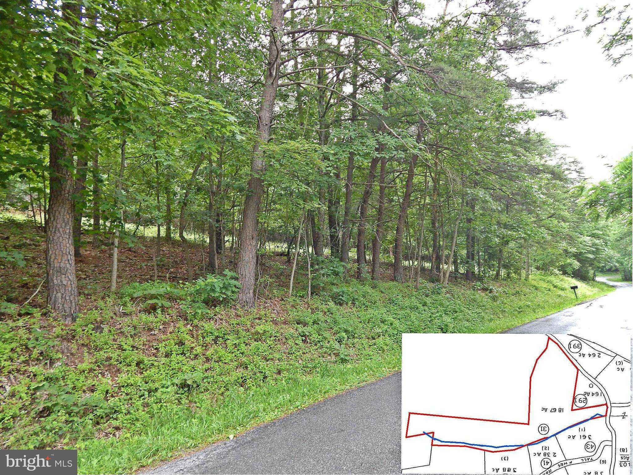 Berkeley Springs, WV 25411,MOUNTAIN RUN RD