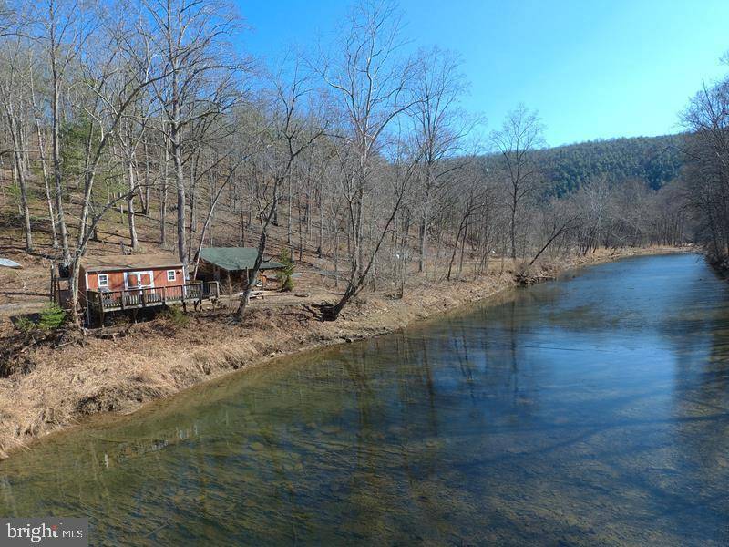 Bloomery, WV 26817,3 BEAR PAW