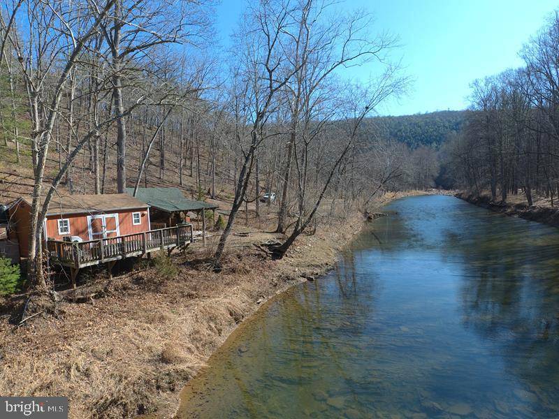 Bloomery, WV 26817,3 BEAR PAW