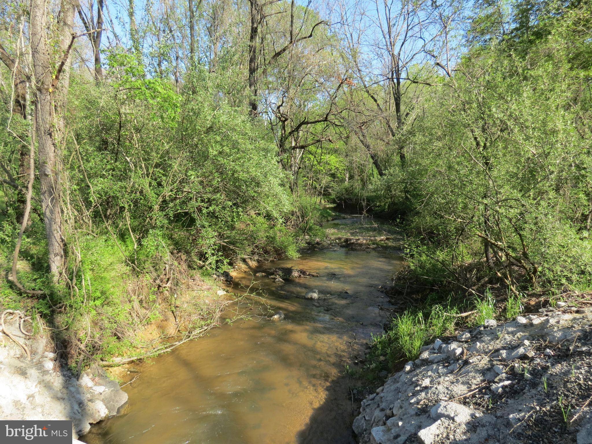 Amissville, VA 20106,72 QUAIL CALL LN