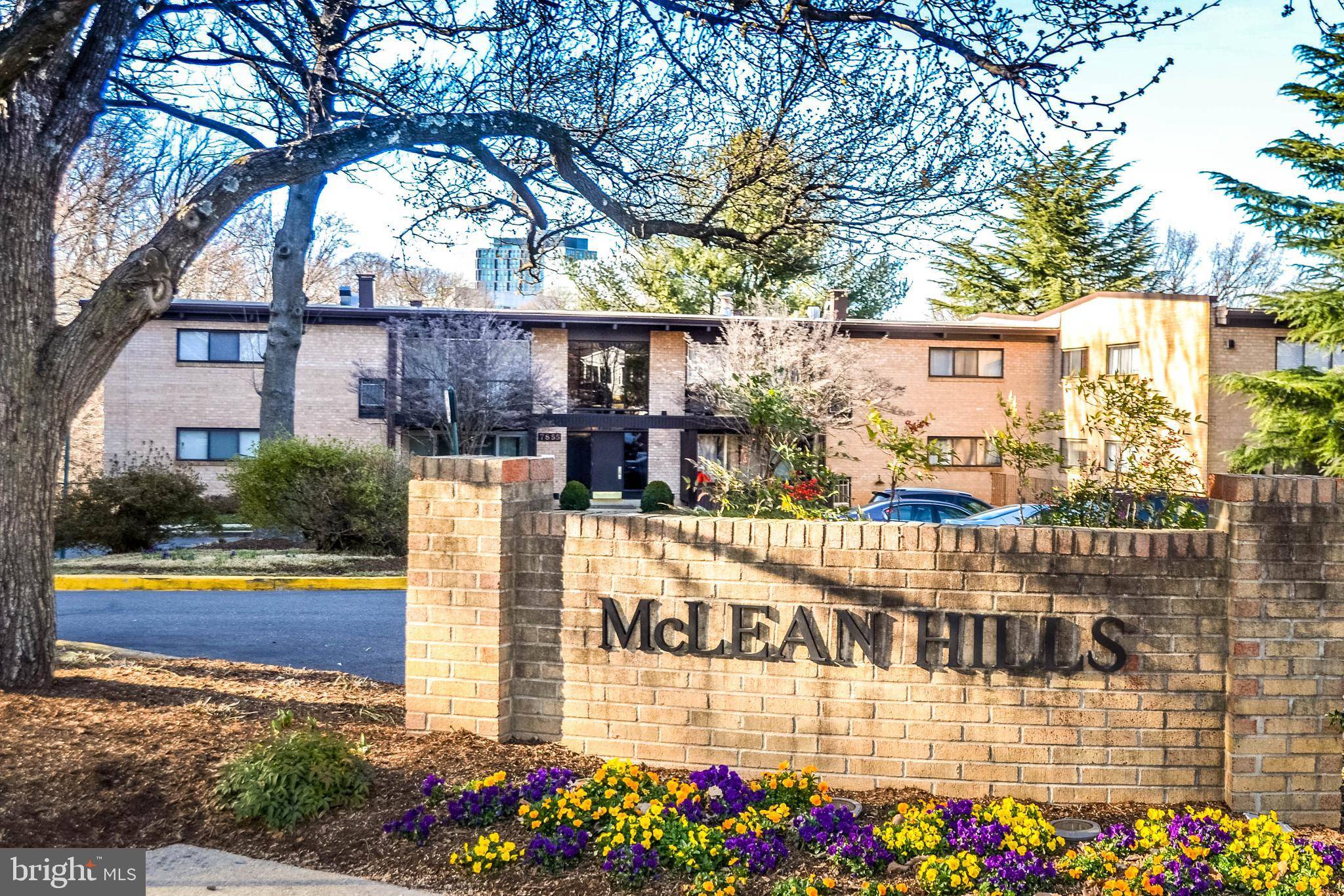 Mclean, VA 22102,7841 ENOLA ST #206