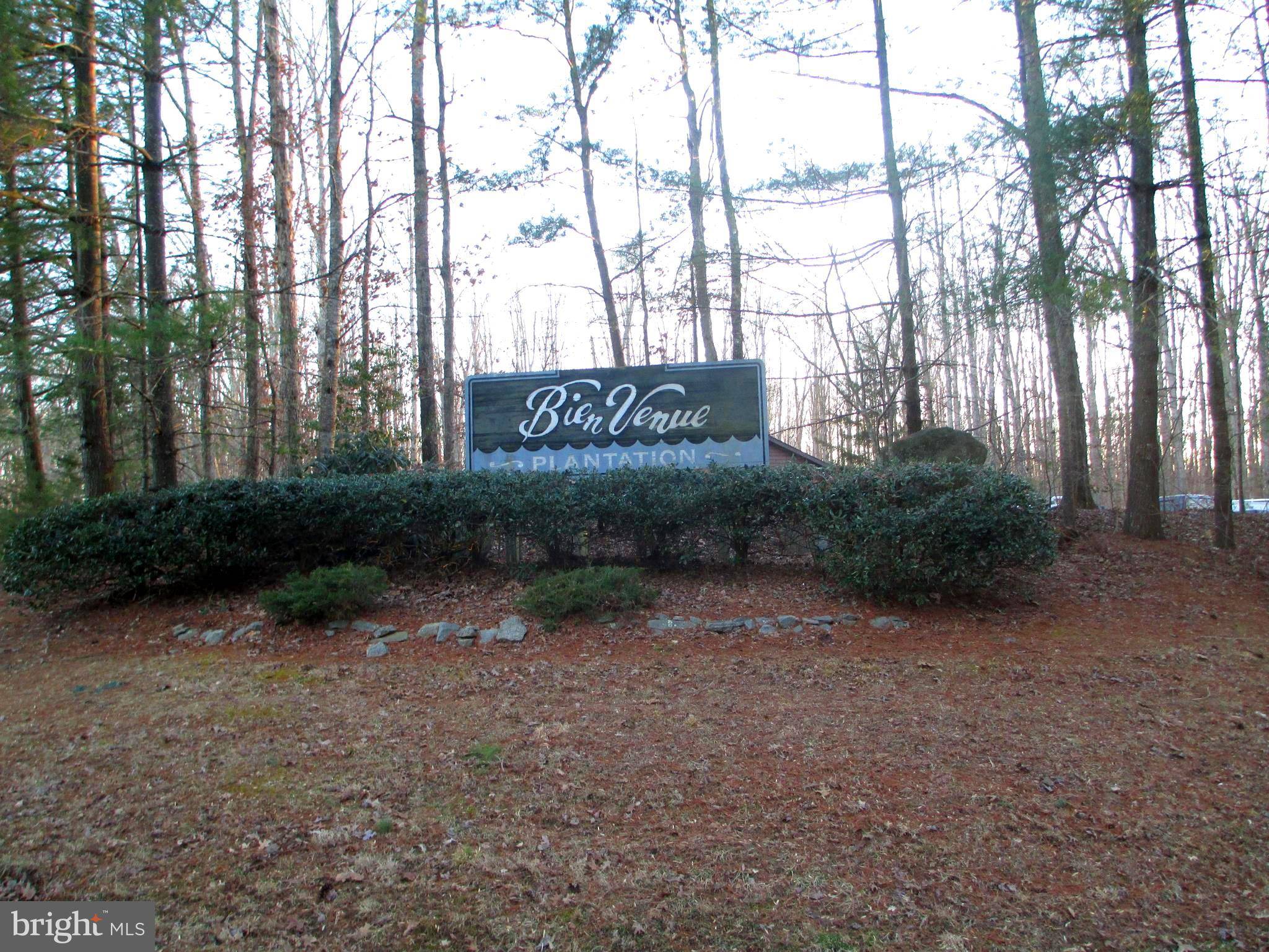 Louisa, VA 23093,LOT 24 PALOMINO DR, PALOMINO