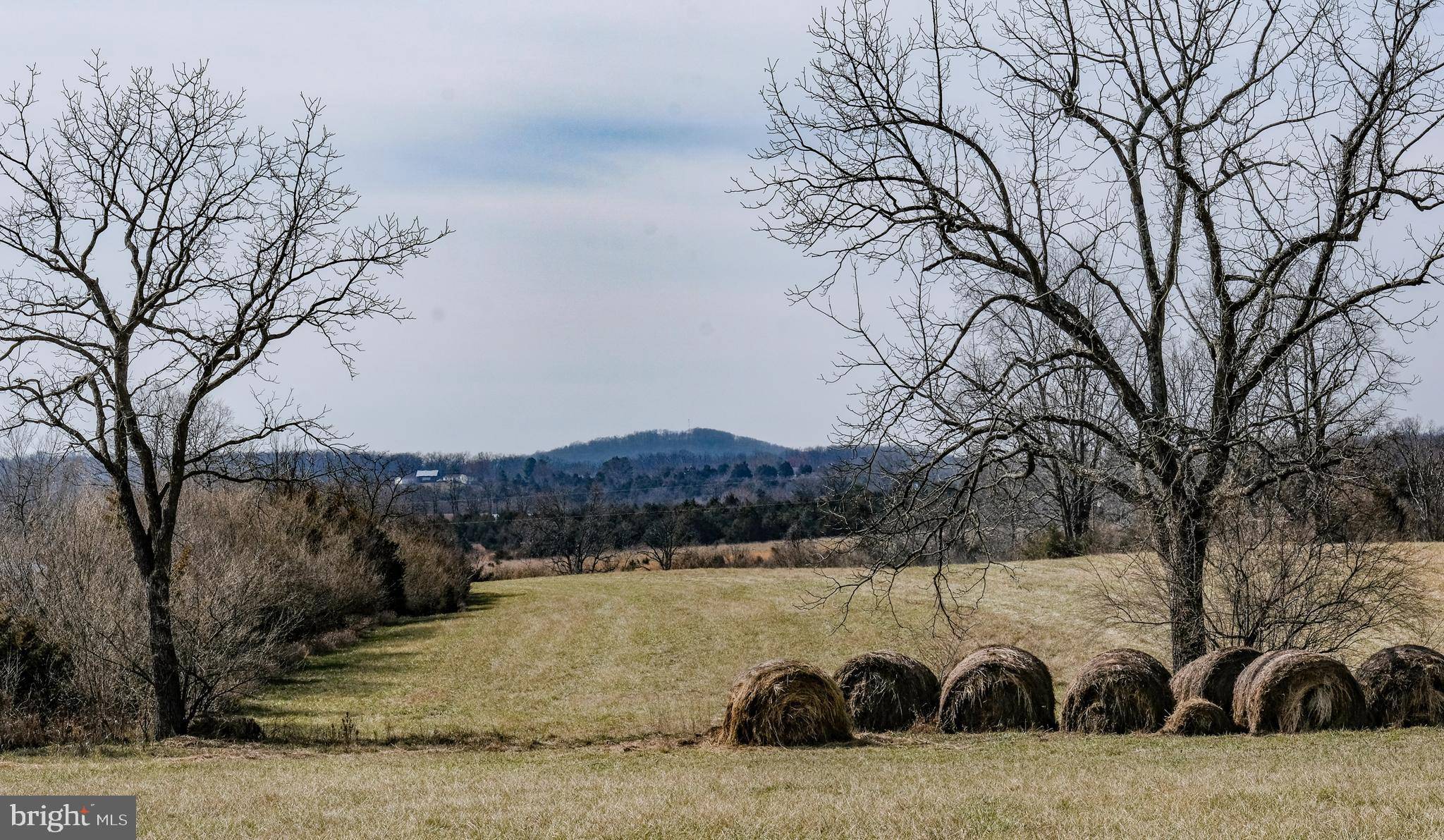 Strasburg, VA 22657,RED BUD RD