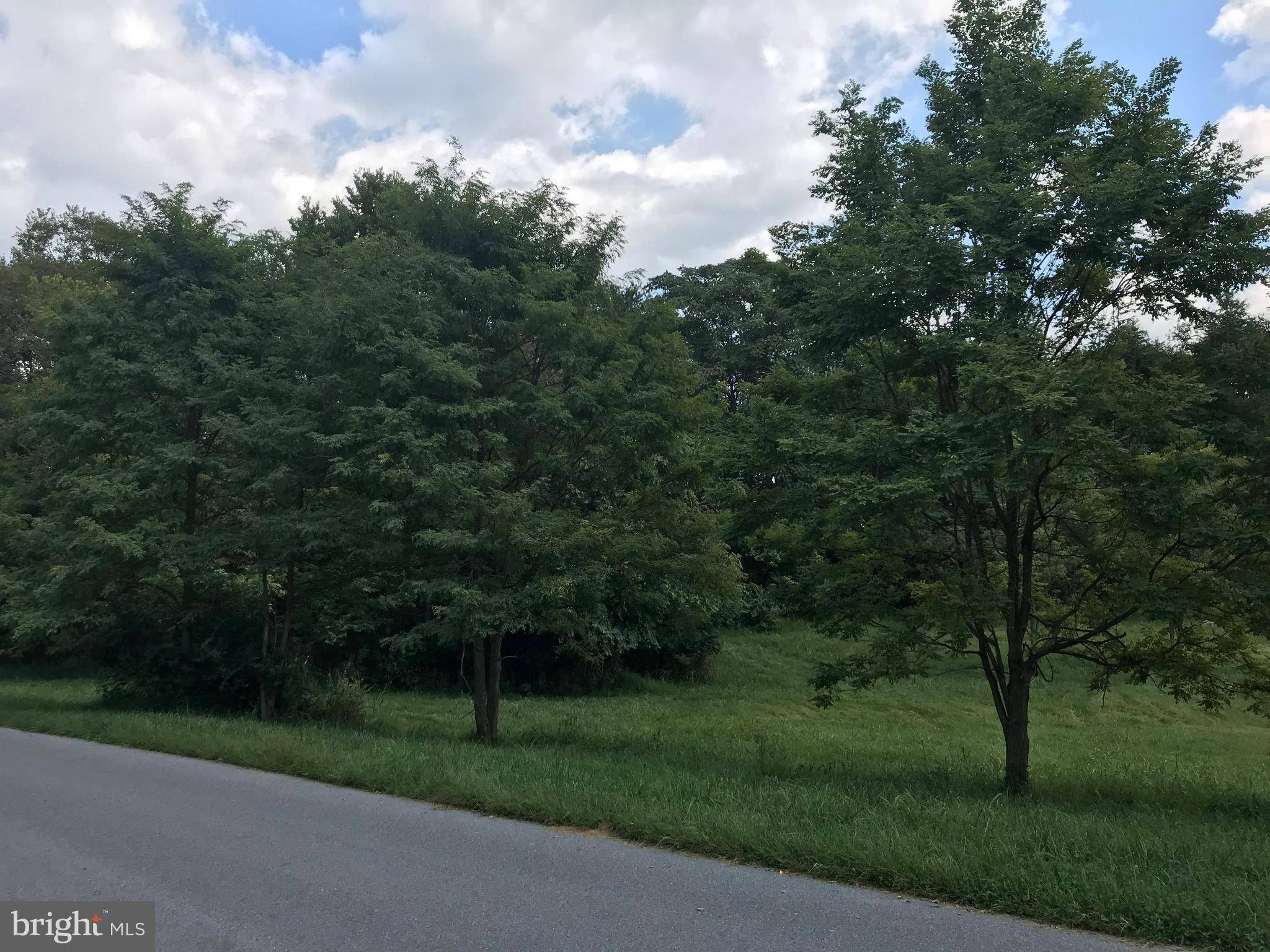 Fairplay, MD 21733,8211 PROPHET ACRES RD #LOT 5