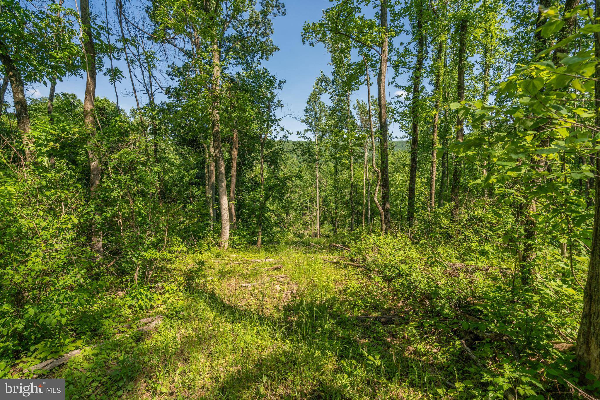 Front Royal, VA 22630,LOT 2J WHITETAIL LN