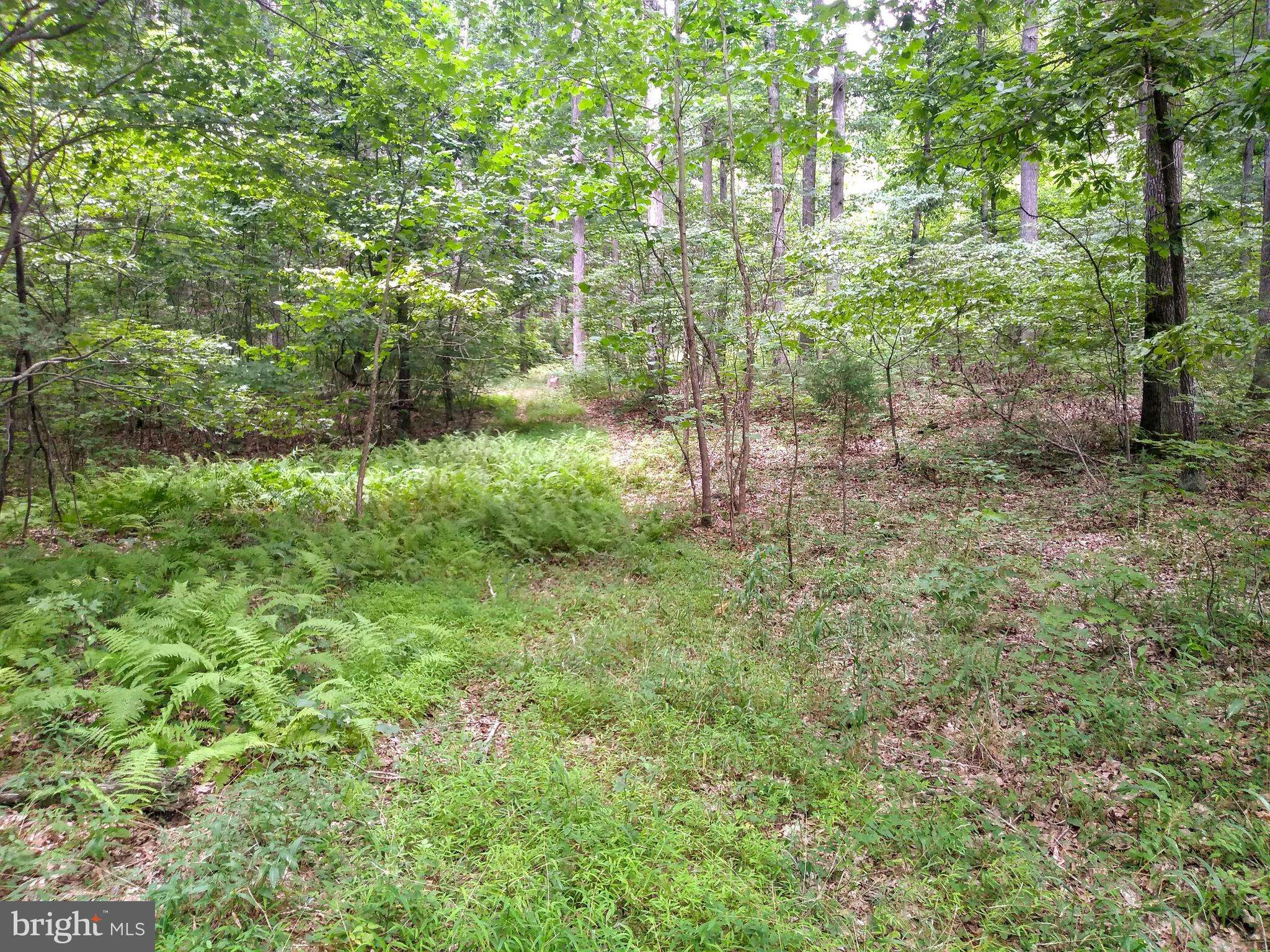 Old Fields, WV 26845,3 PINE TRAIL DRIVE