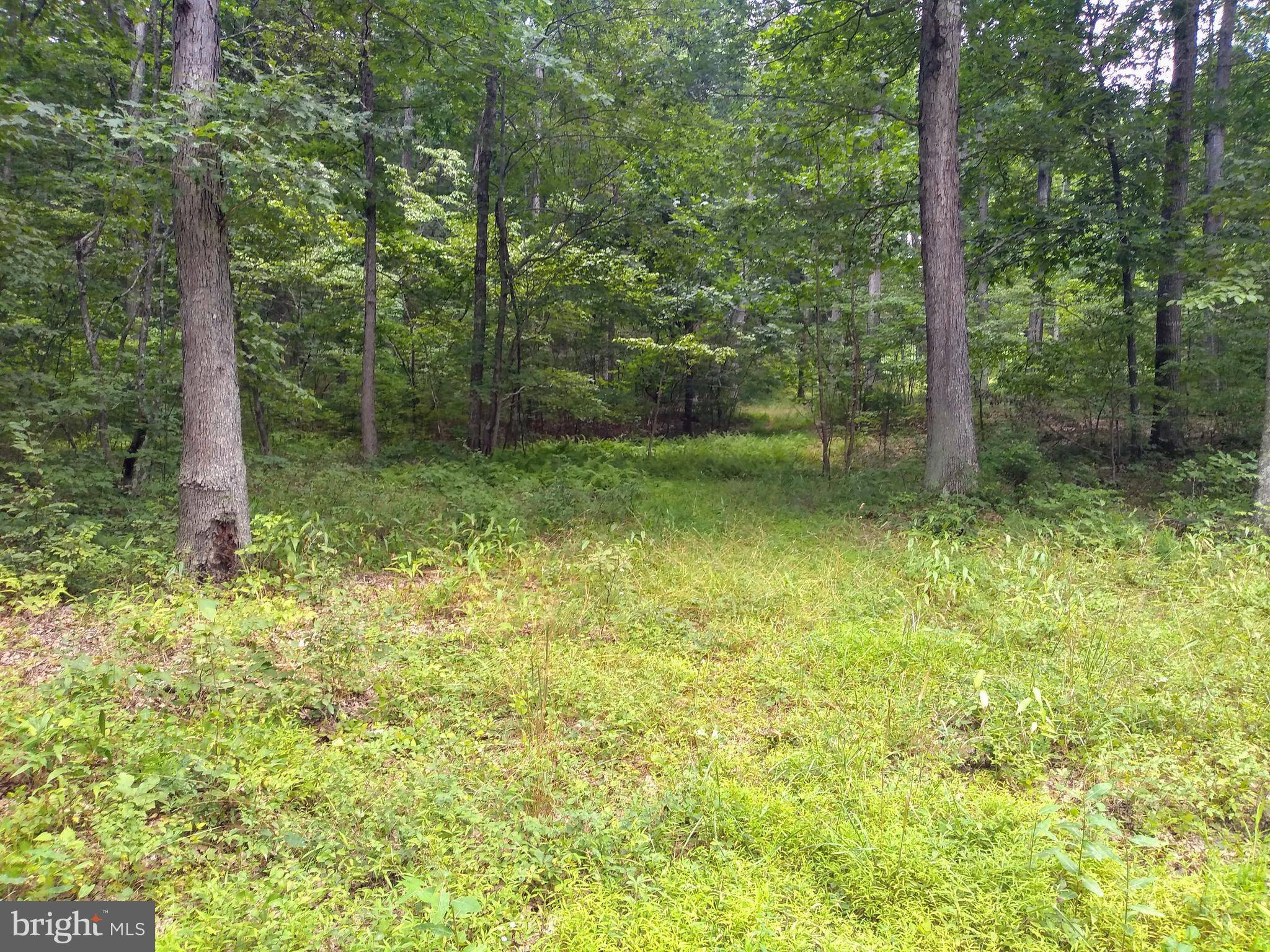 Old Fields, WV 26845,3 PINE TRAIL DRIVE