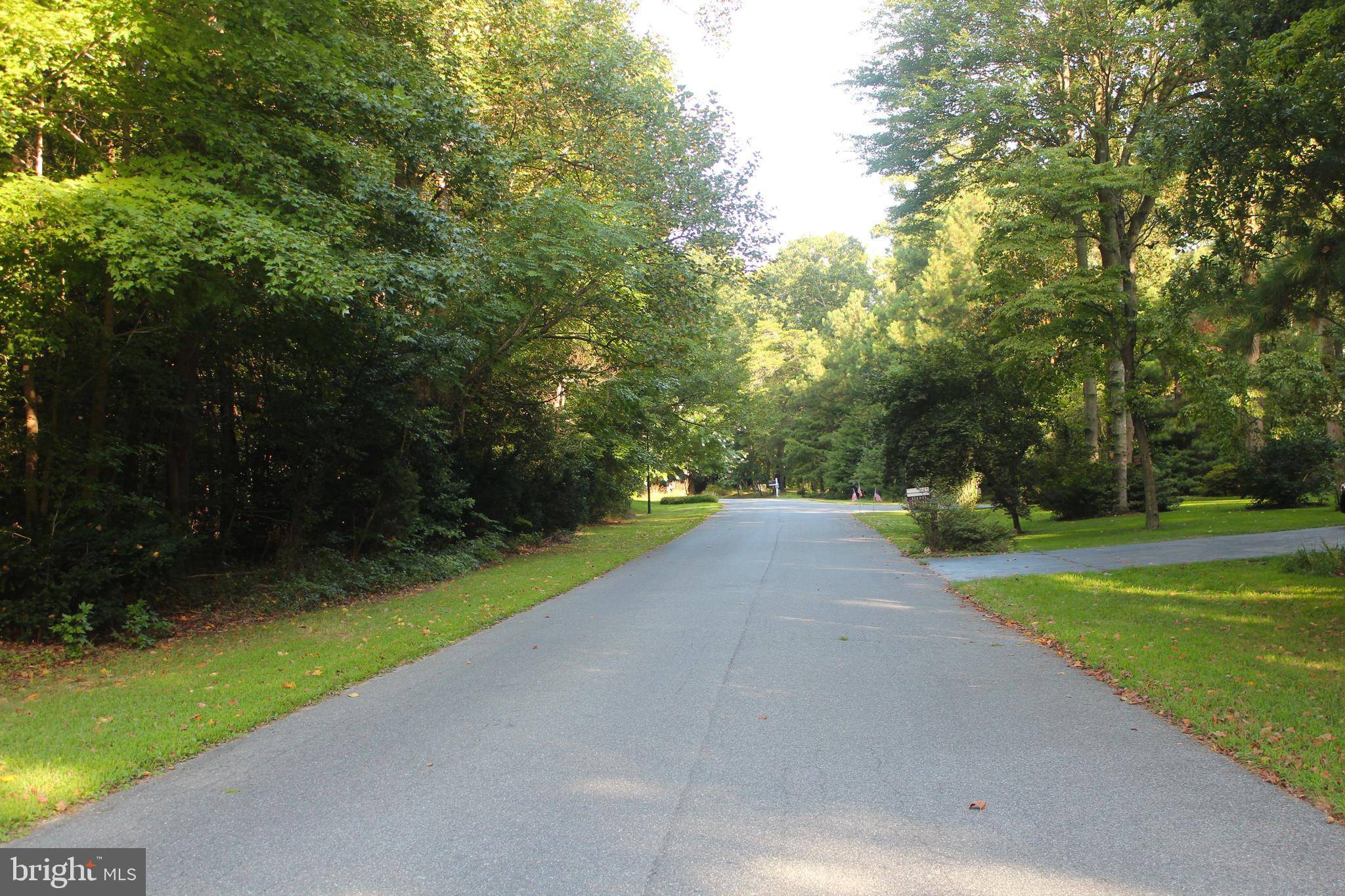 Dagsboro, DE 19939,WOOD DUCK COURT, LOT 25