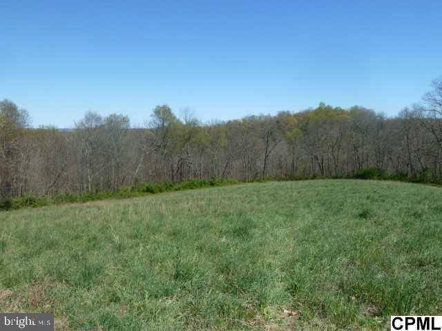 Duncannon, PA 17020,LOT #9 LEITER DR