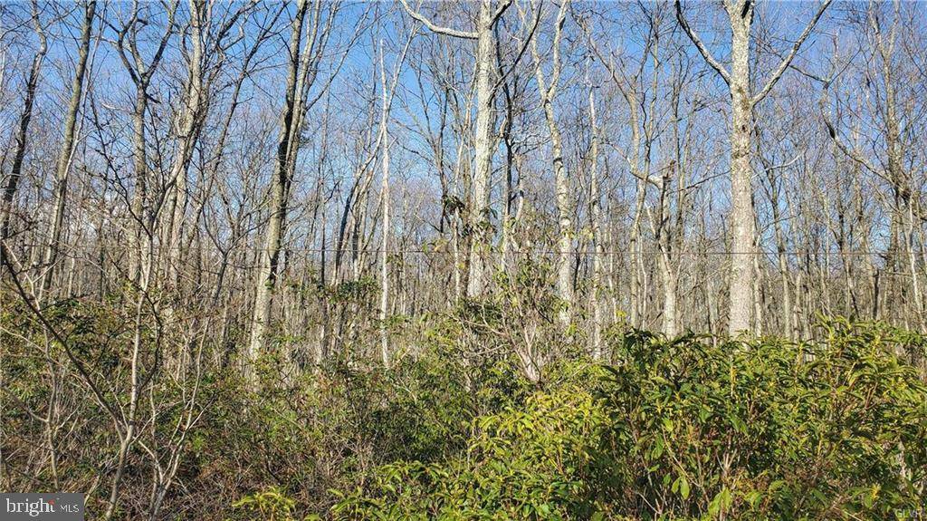 Jim Thorpe, PA 18229,LOT B70 BUTTERNUT RD