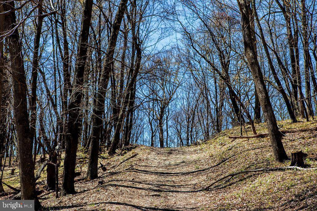 Saxton, PA 16678,LITTLE VALLEY ROAD