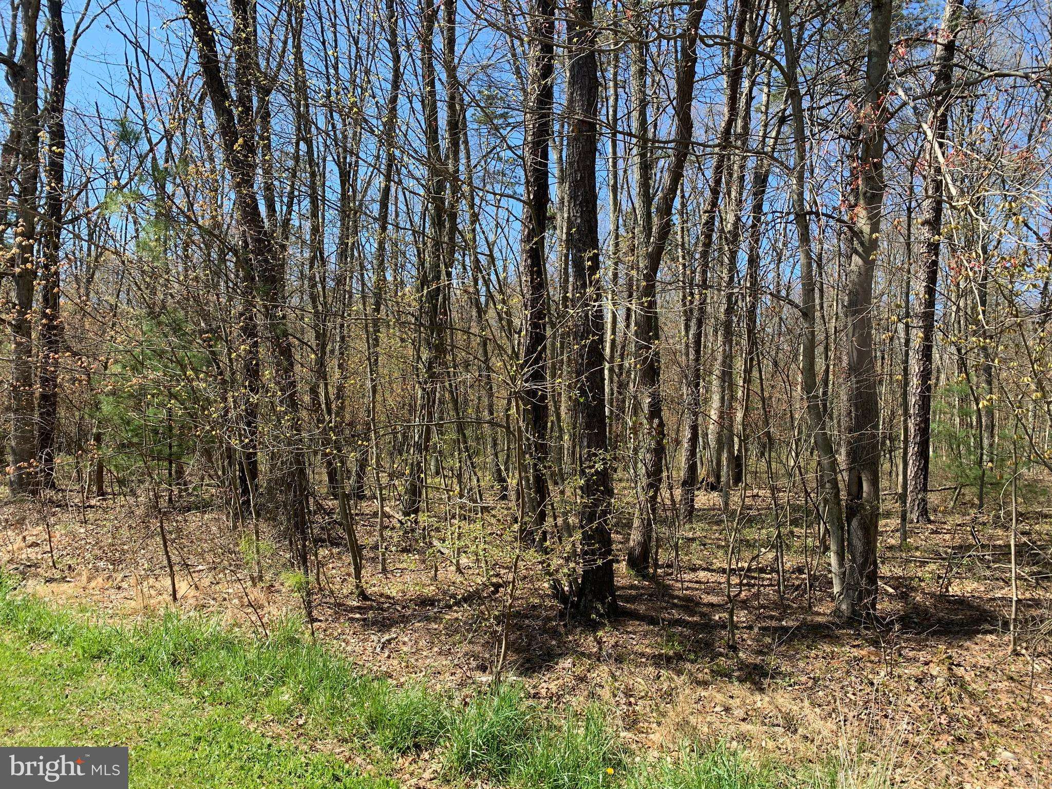 Lehighton, PA 18235,0 LOT# C41 VILNO DR