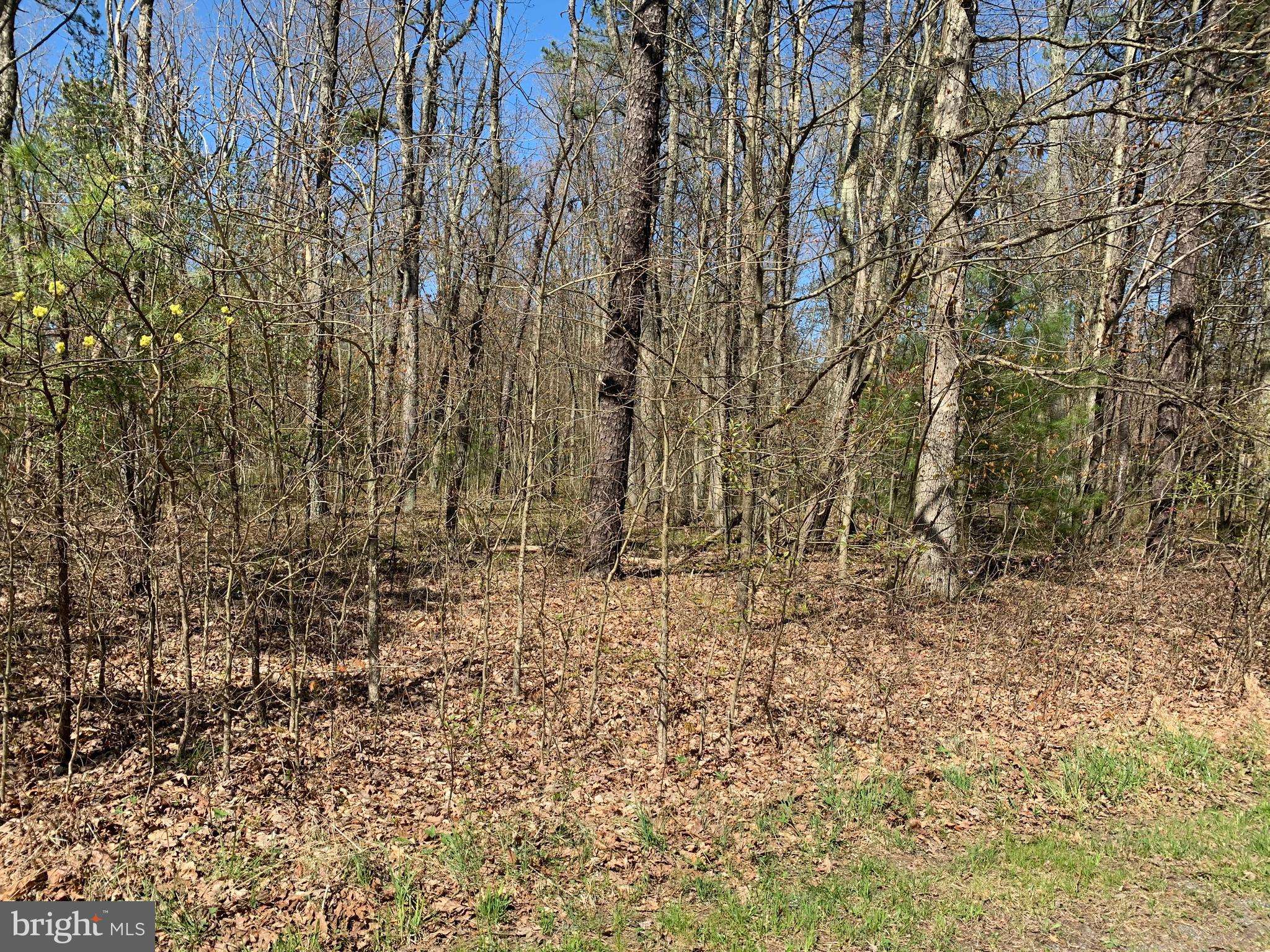 Lehighton, PA 18235,0 LOT# C41 VILNO DR