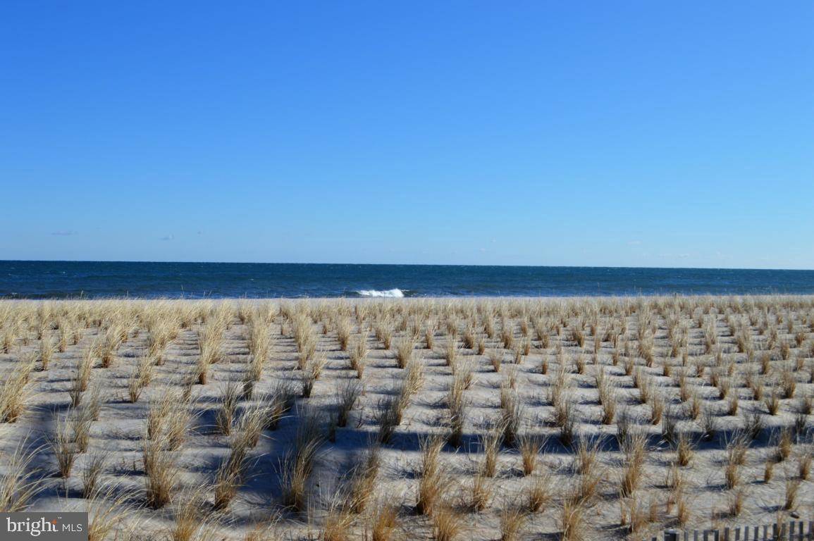 Seaside Heights, NJ 08751,28 SAMPSON AVE #C