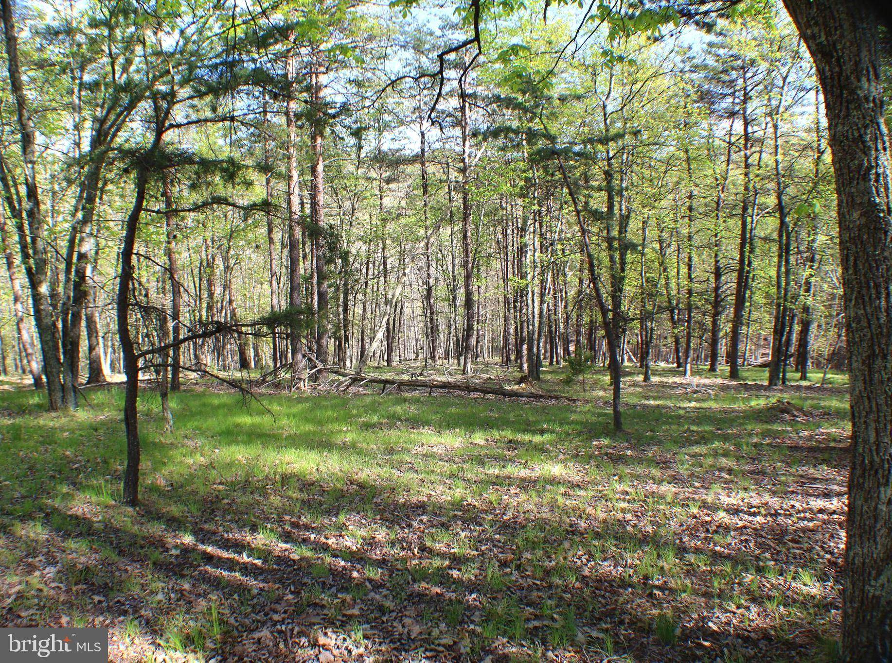 Maysville, WV 26833,9.08 AC PYLOR WAY