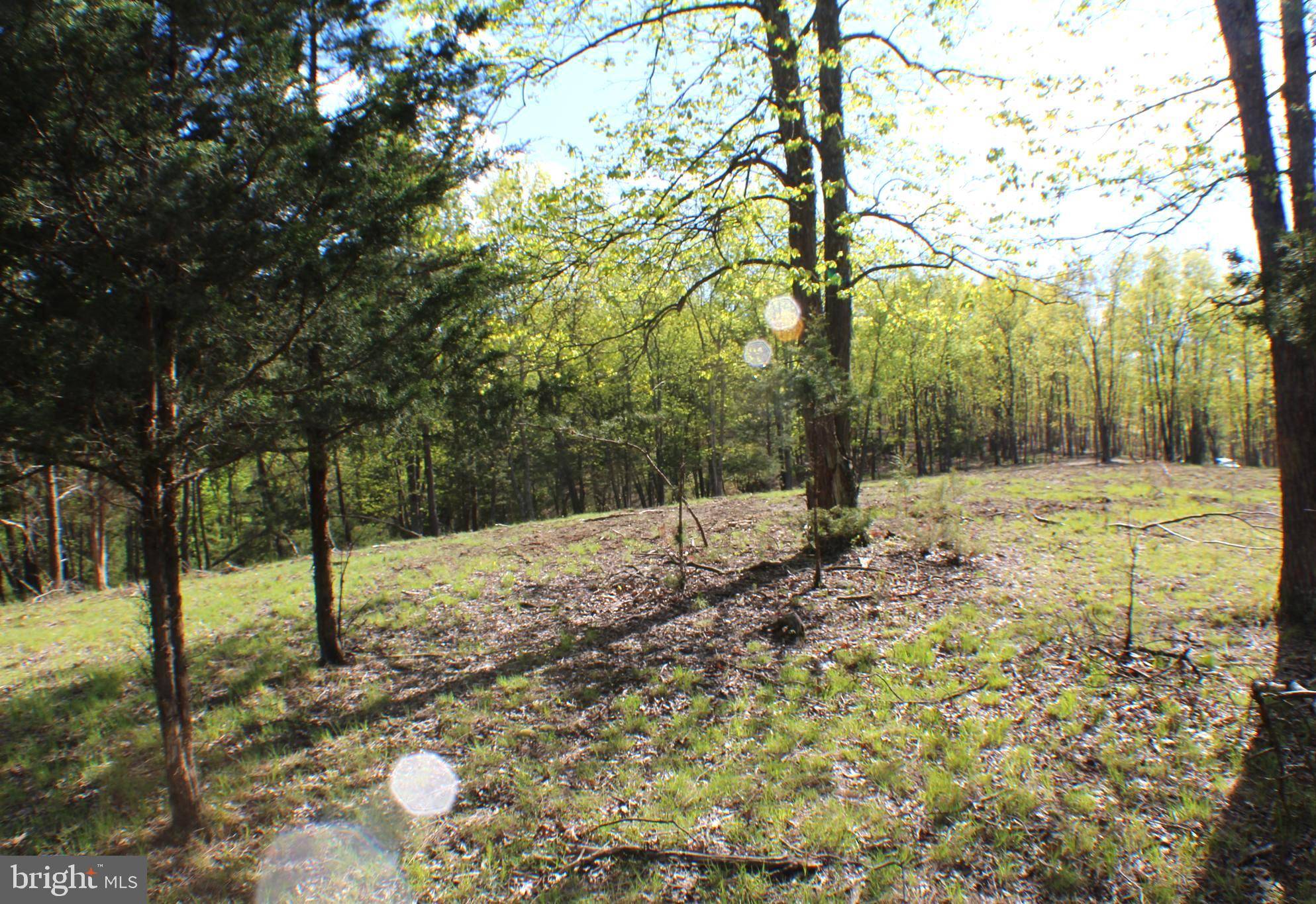 Maysville, WV 26833,9.08 AC PYLOR WAY