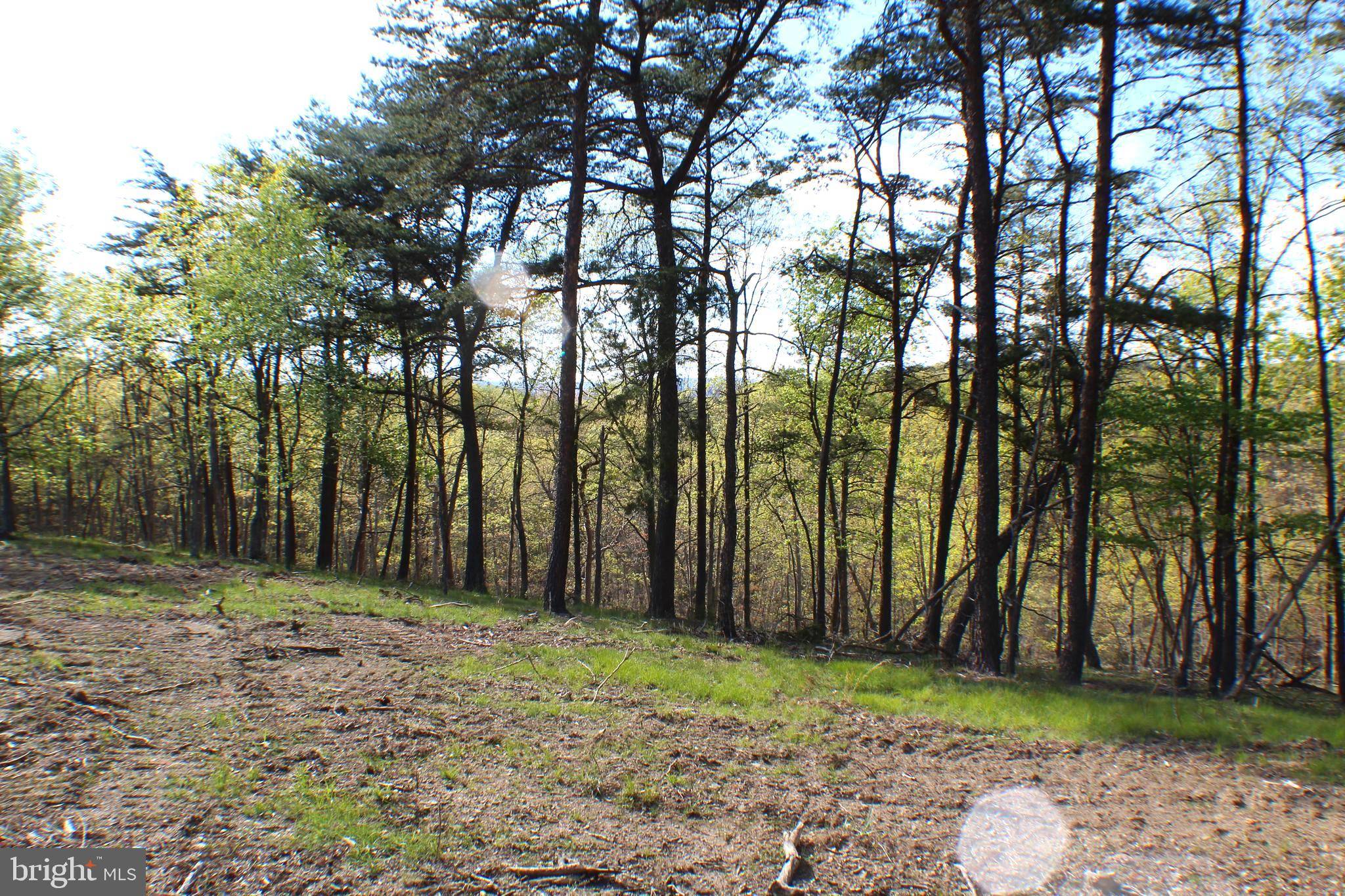 Maysville, WV 26833,9.08 AC PYLOR WAY