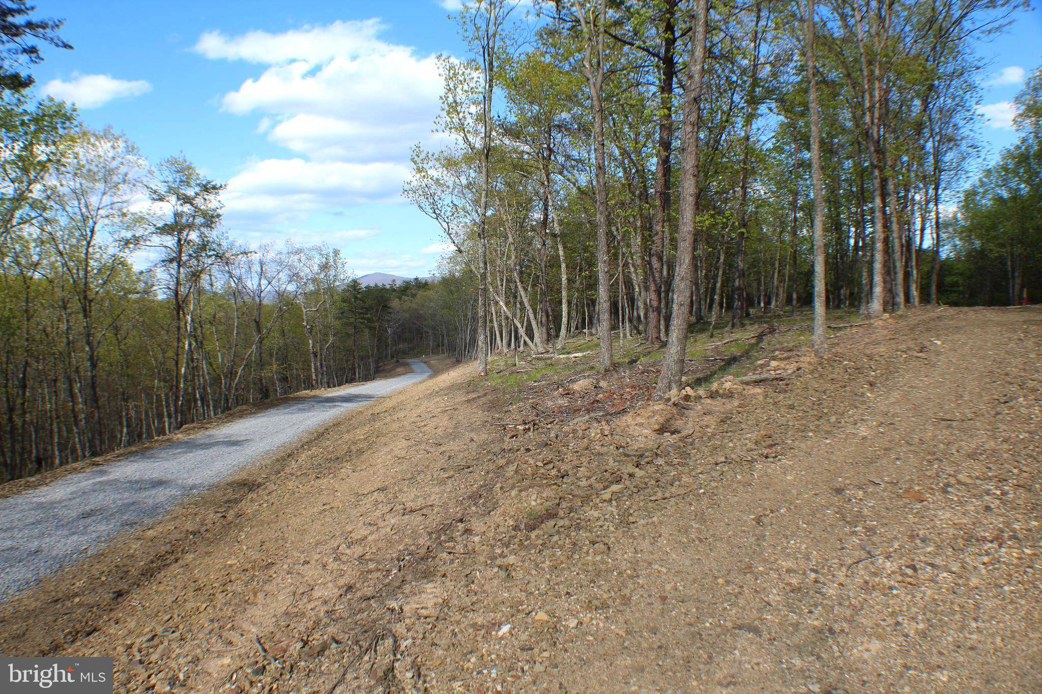 Maysville, WV 26833,9.08 AC PYLOR WAY