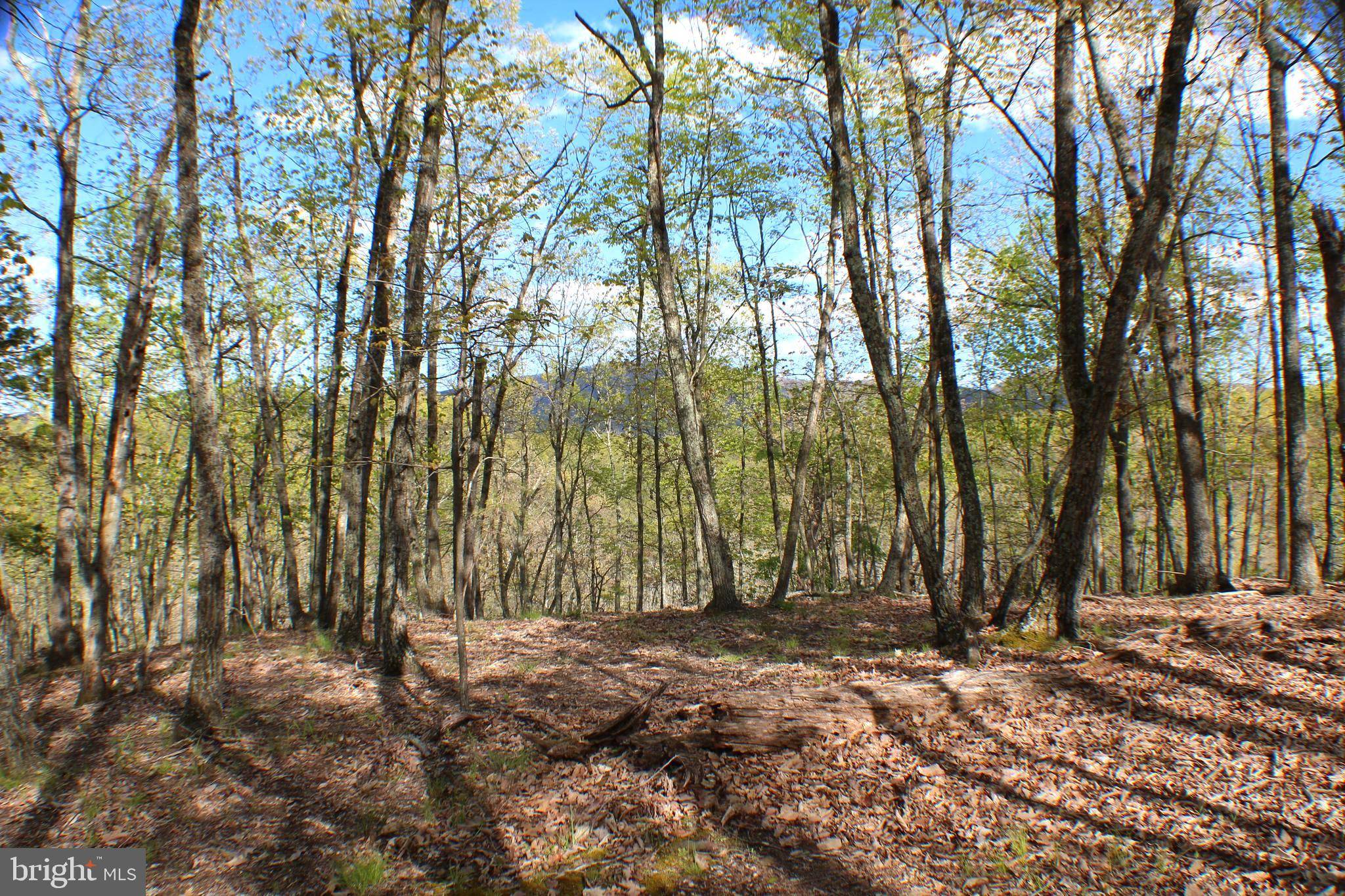 Maysville, WV 26833,LOT 5 PYLOR WAY