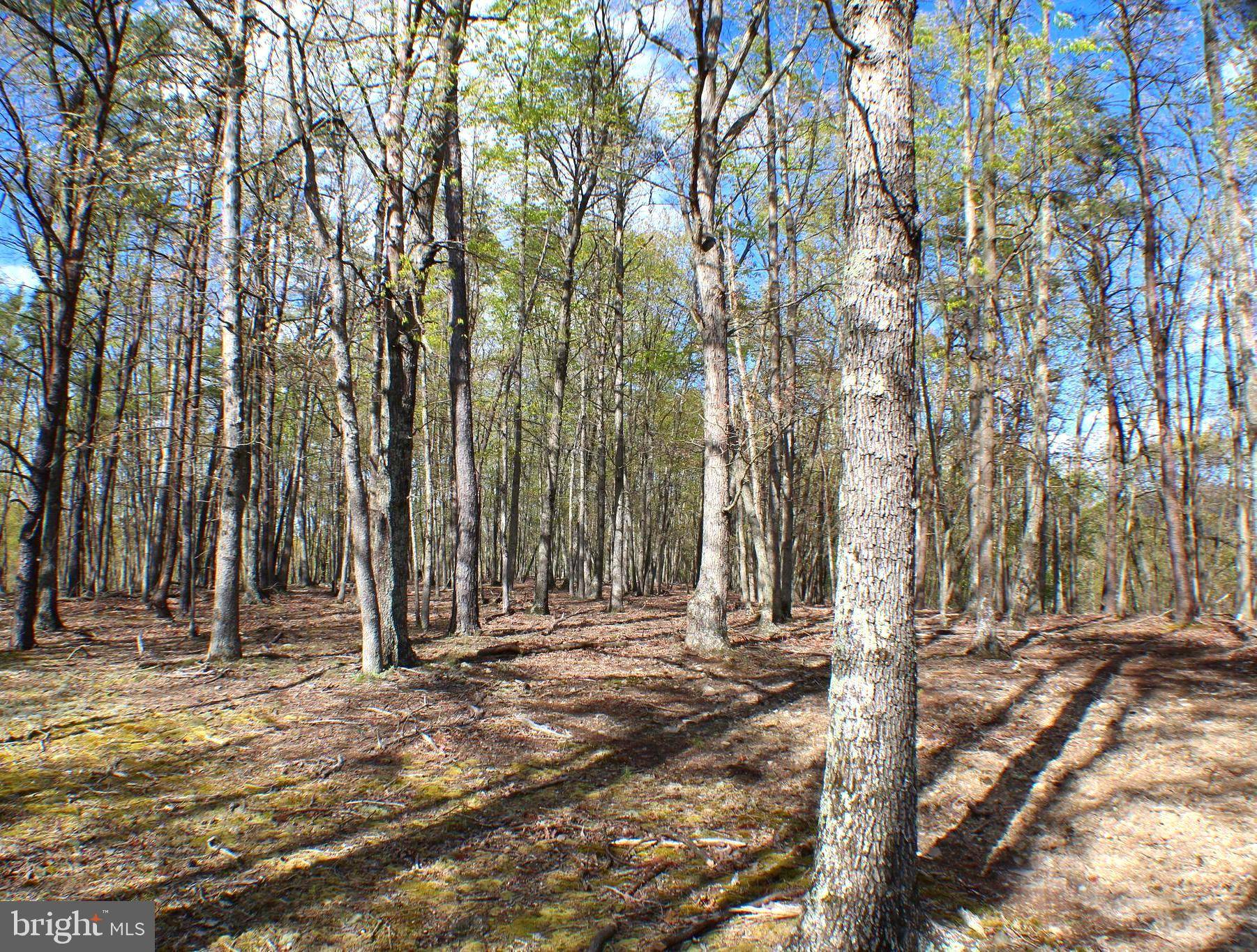 Maysville, WV 26833,LOT 5 PYLOR WAY