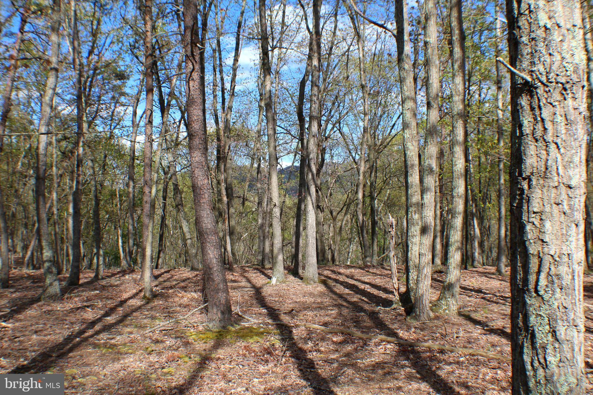 Maysville, WV 26833,LOT 5 PYLOR WAY