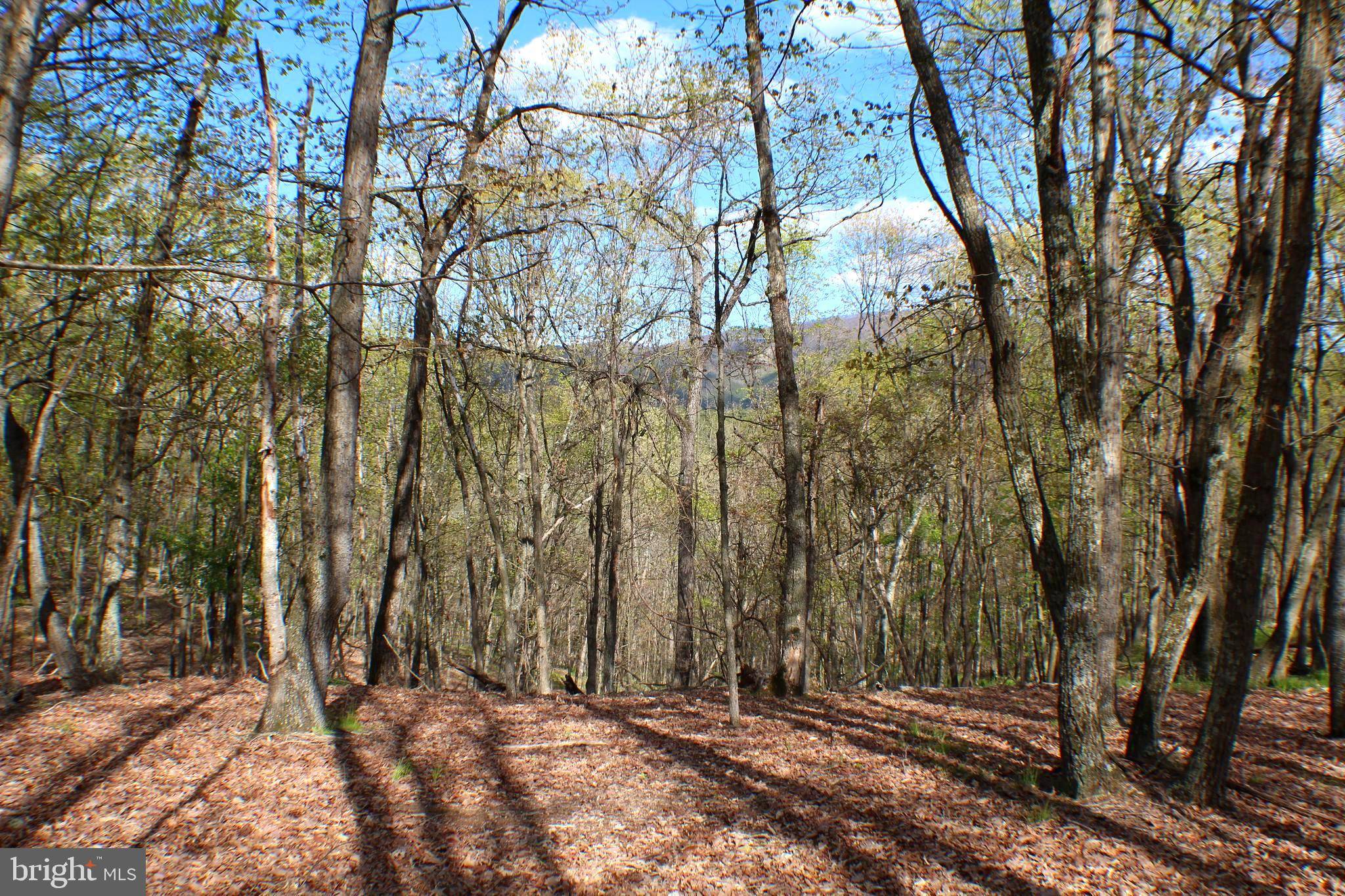 Maysville, WV 26833,LOT 5 PYLOR WAY