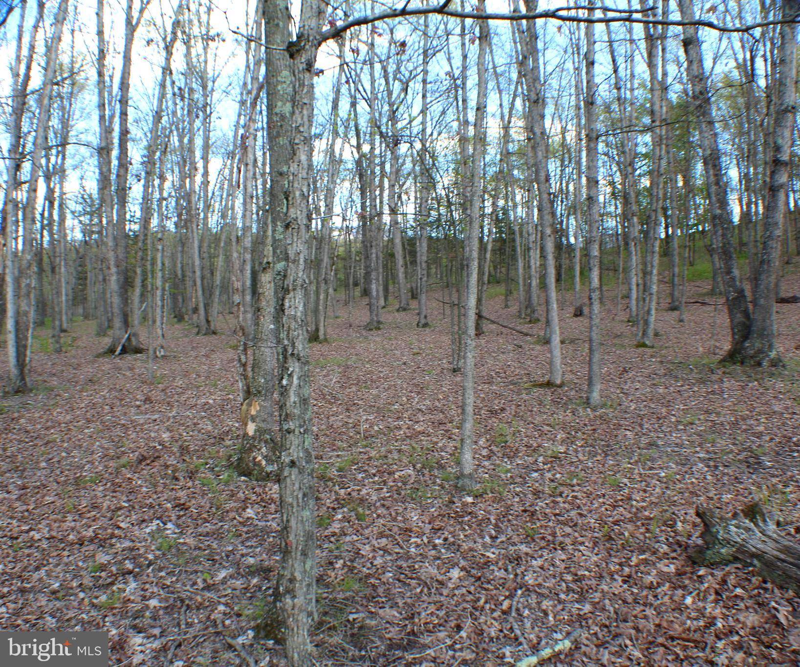 Maysville, WV 26833,LOT 6 PYLOR WAY