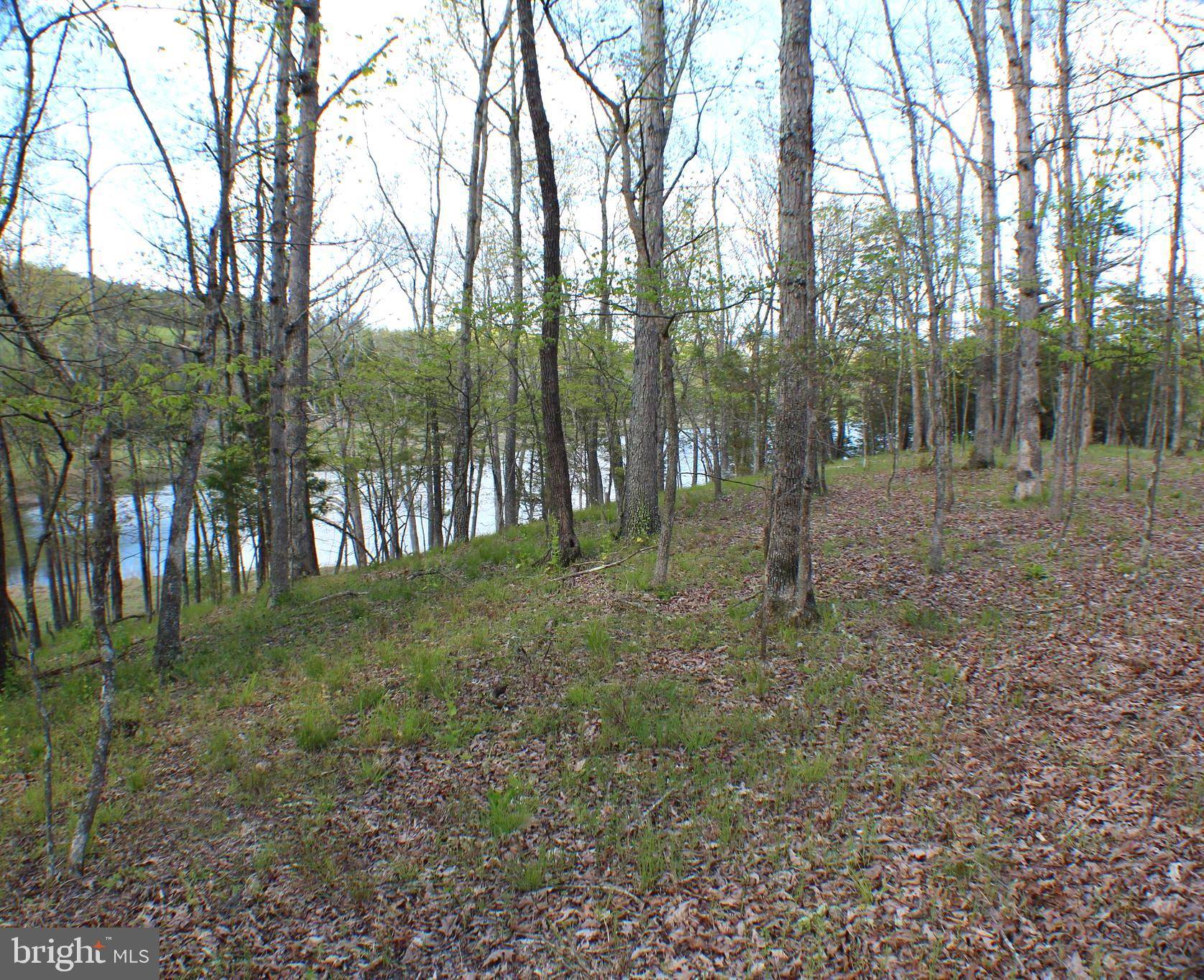 Maysville, WV 26833,LOT 6 PYLOR WAY