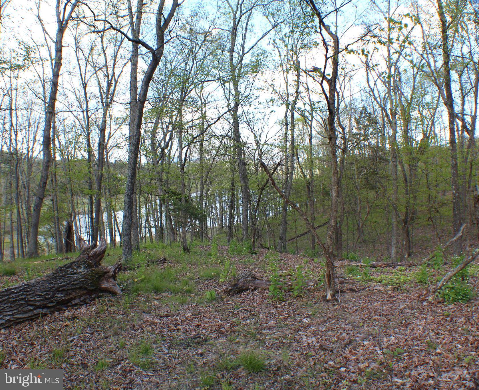 Maysville, WV 26833,LOT 6 PYLOR WAY