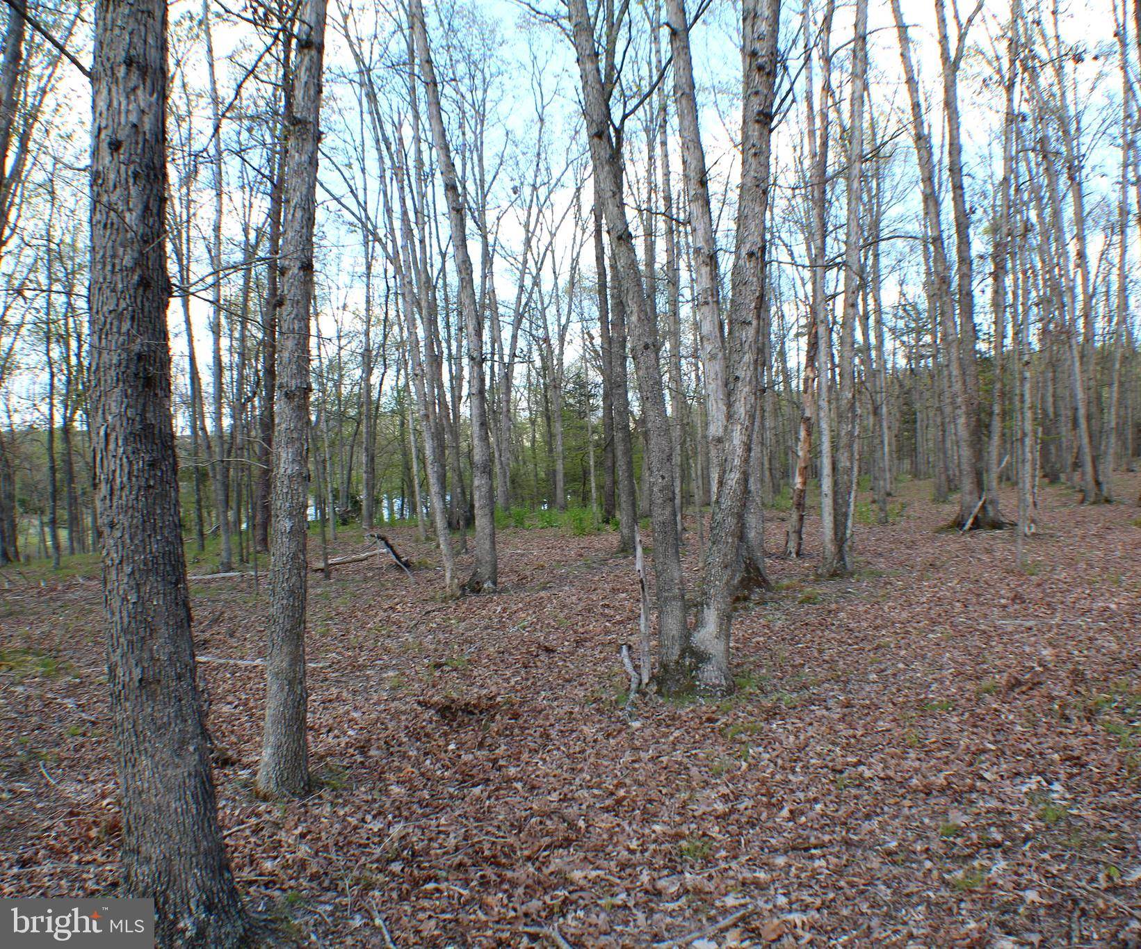 Maysville, WV 26833,LOT 6 PYLOR WAY