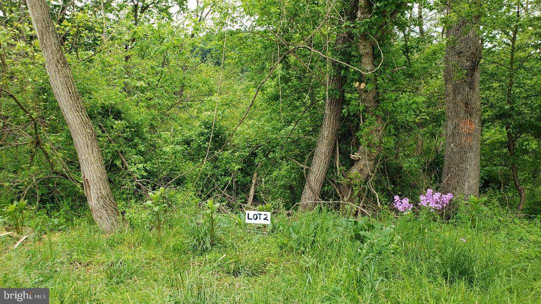 Mifflintown, PA 17059,LOT #2 W RIVER ROAD