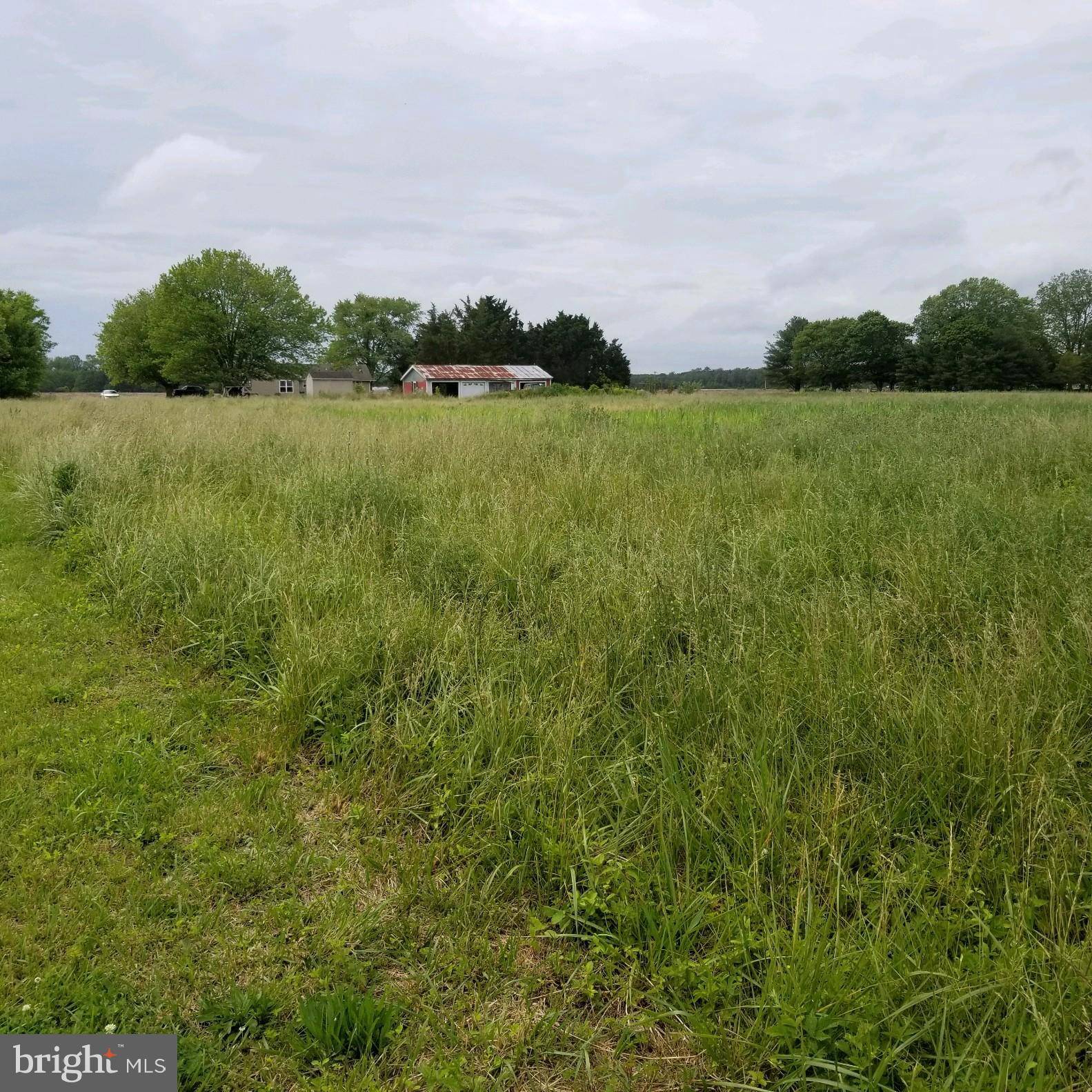 Westover, MD 21871,LOT 5 BOGGS SCHOOLHOUSE RD