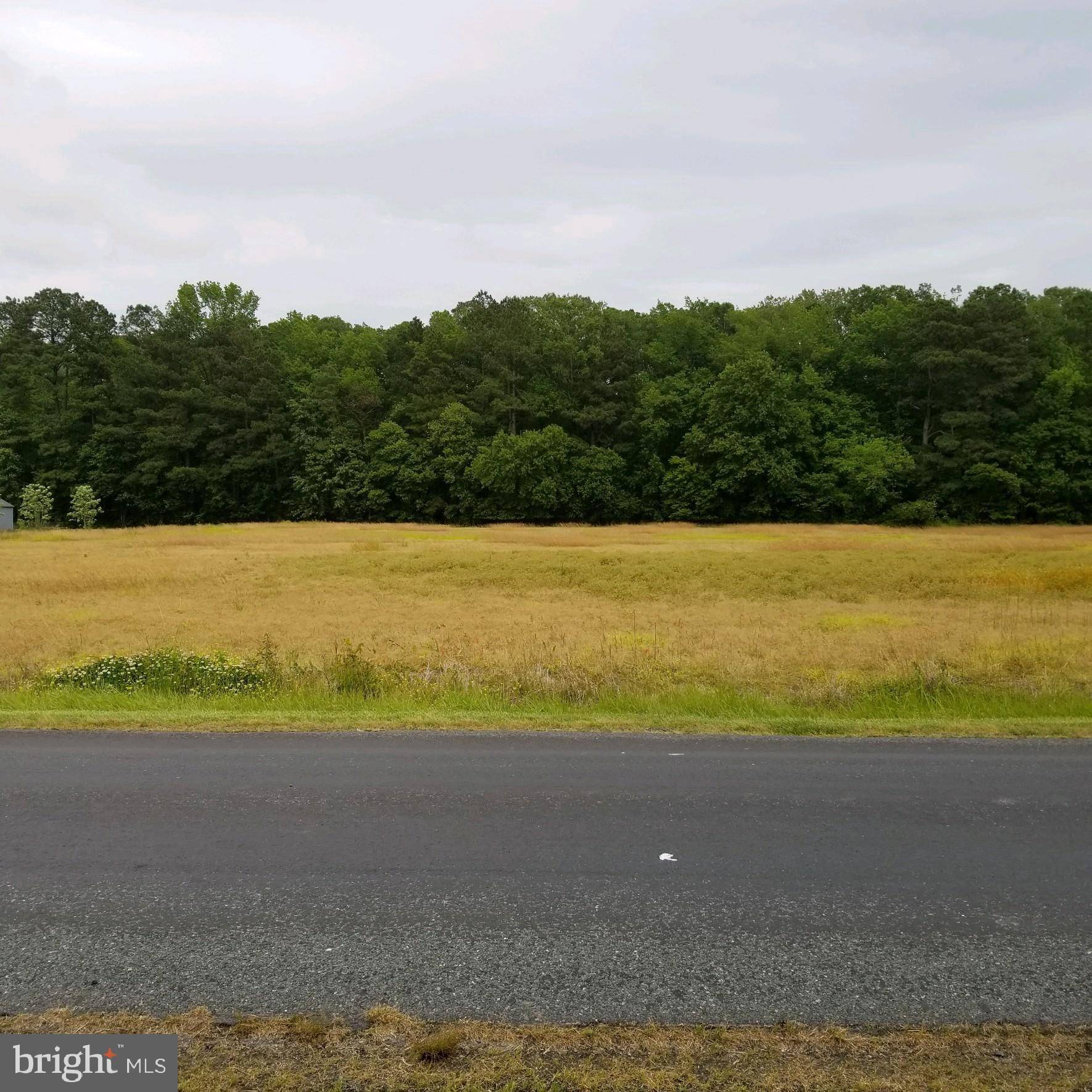 Pocomoke, MD 21851,LOT 4 HAYWARD RD